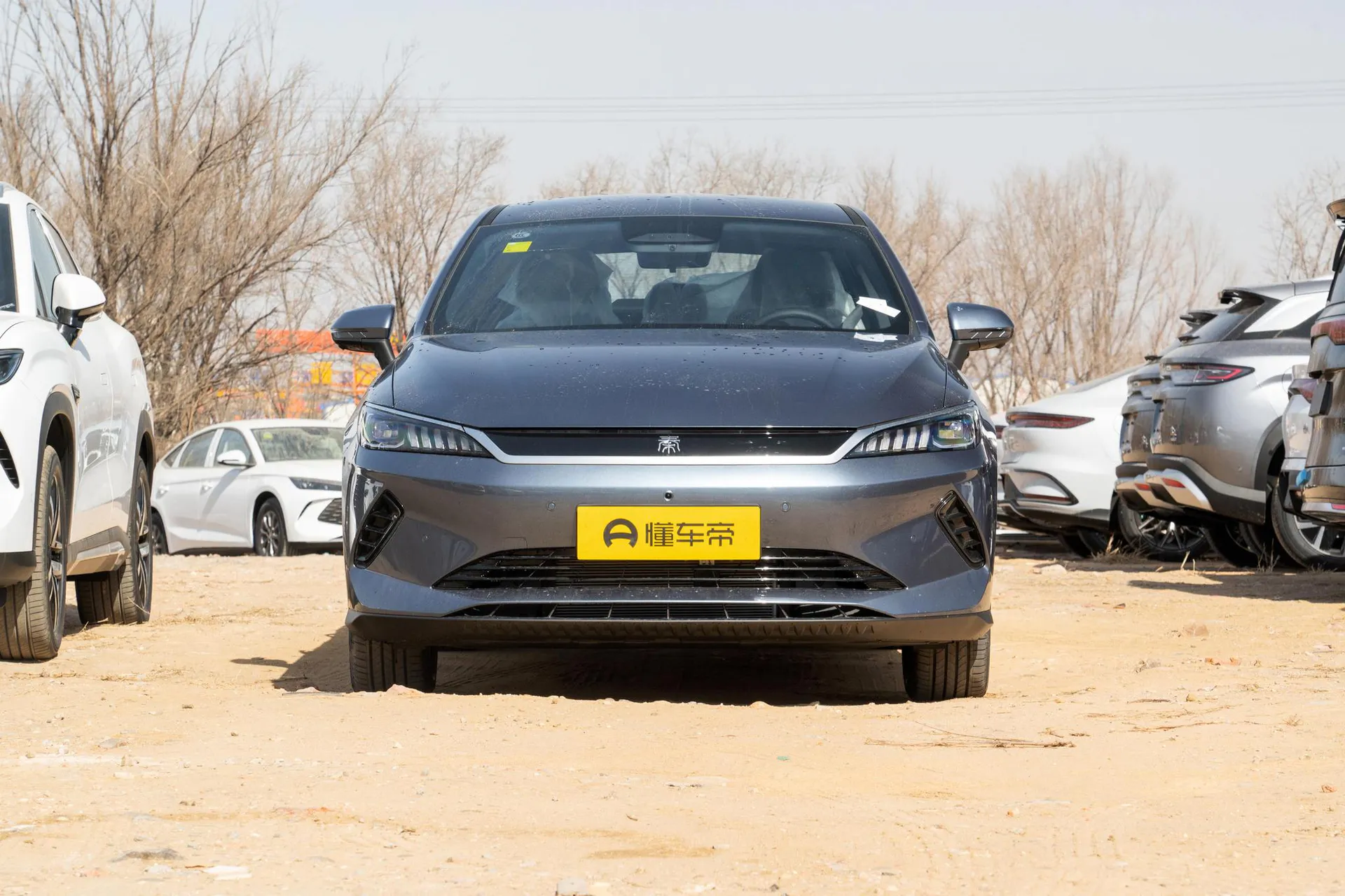  Qin Plus EV Smart Driving 510 KM Leading
