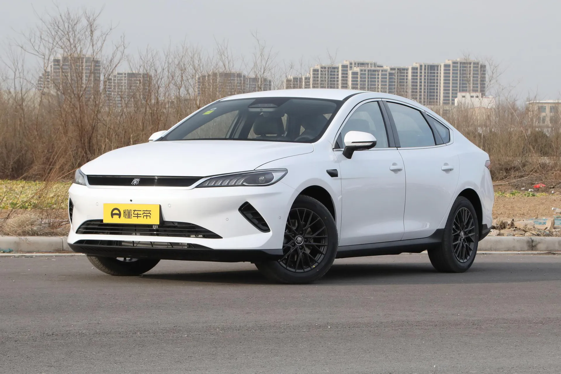  Qin Plus EV Smart Driving 510 KM Leading