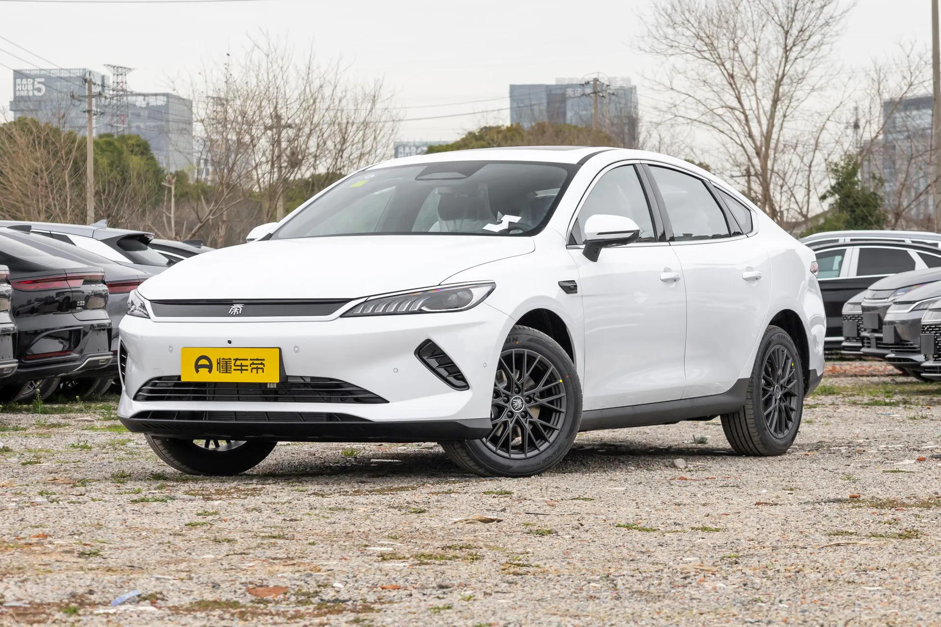  Qin Plus EV Smart Driving 510km Beyond