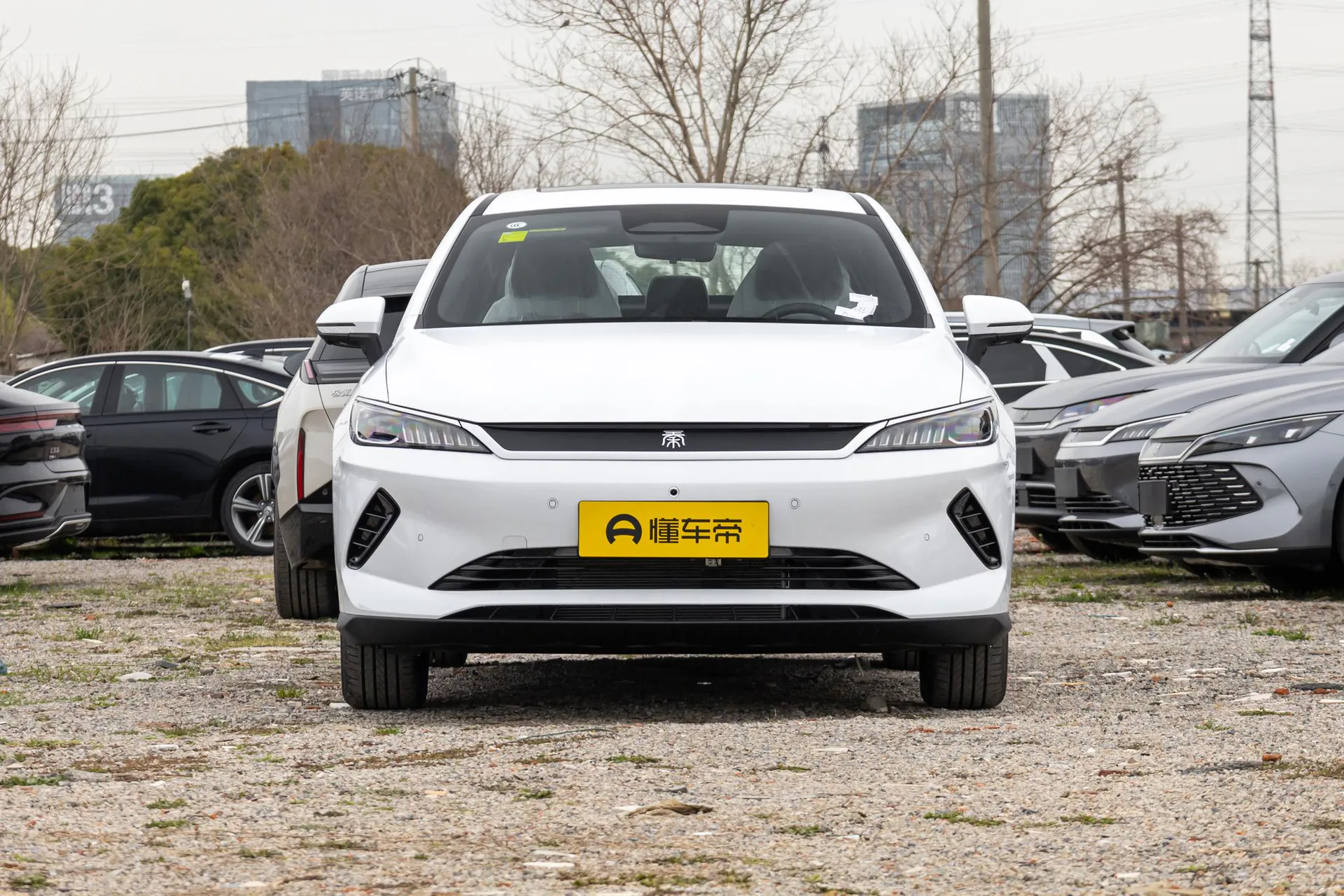  Qin Plus EV Smart Driving 510km Beyond