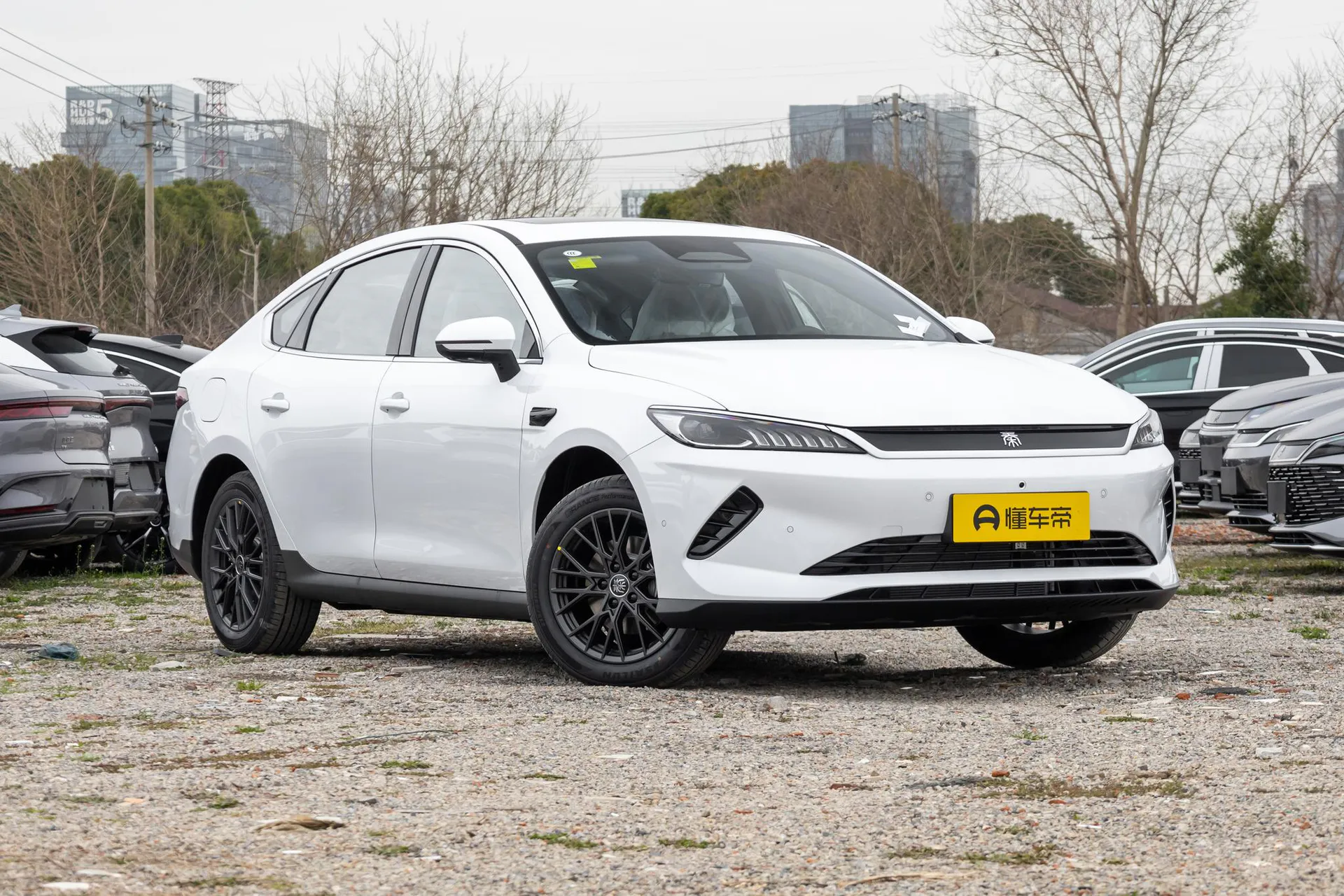  Qin Plus EV Smart Driving 510km Beyond