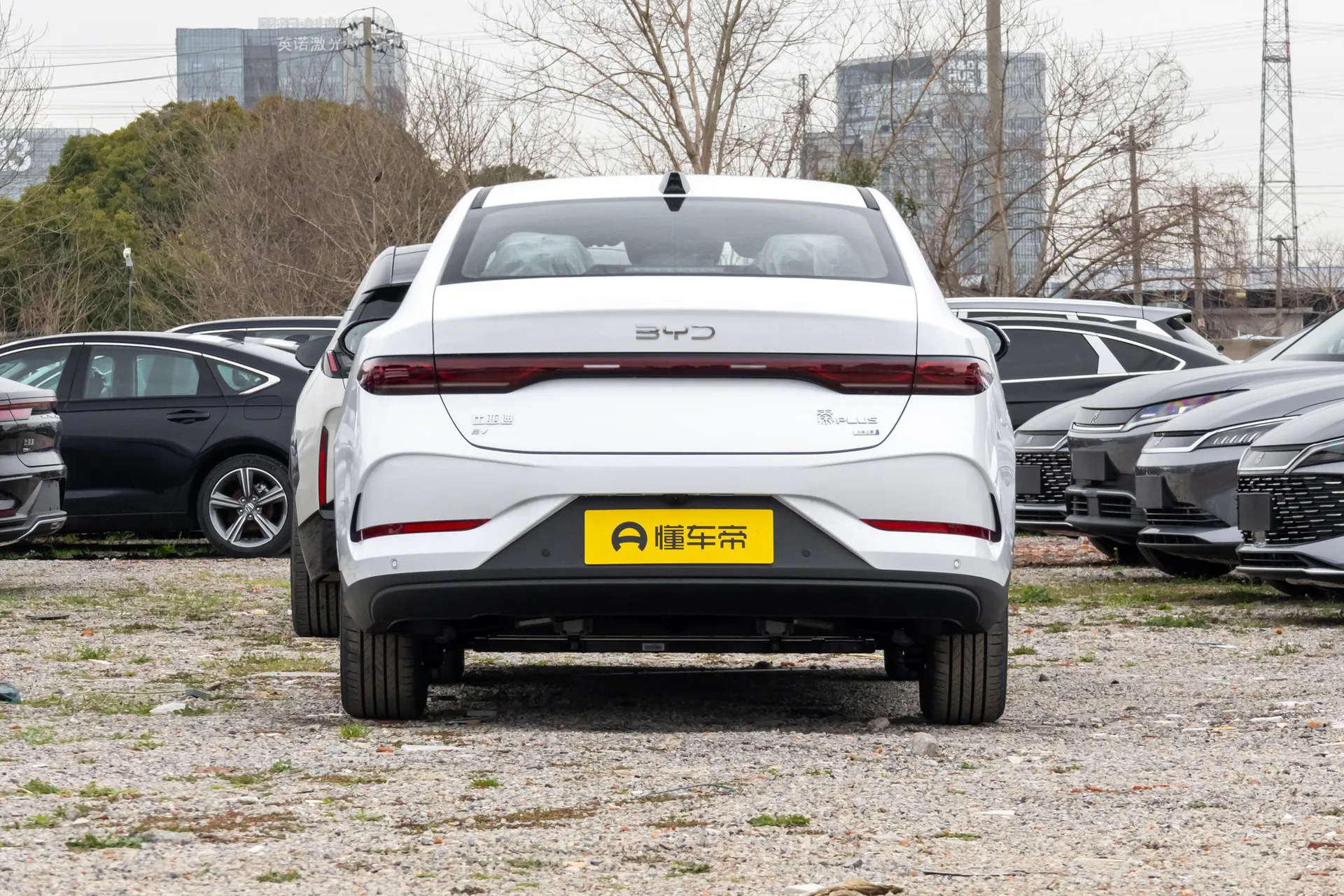  Qin Plus EV Smart Driving 510km Beyond