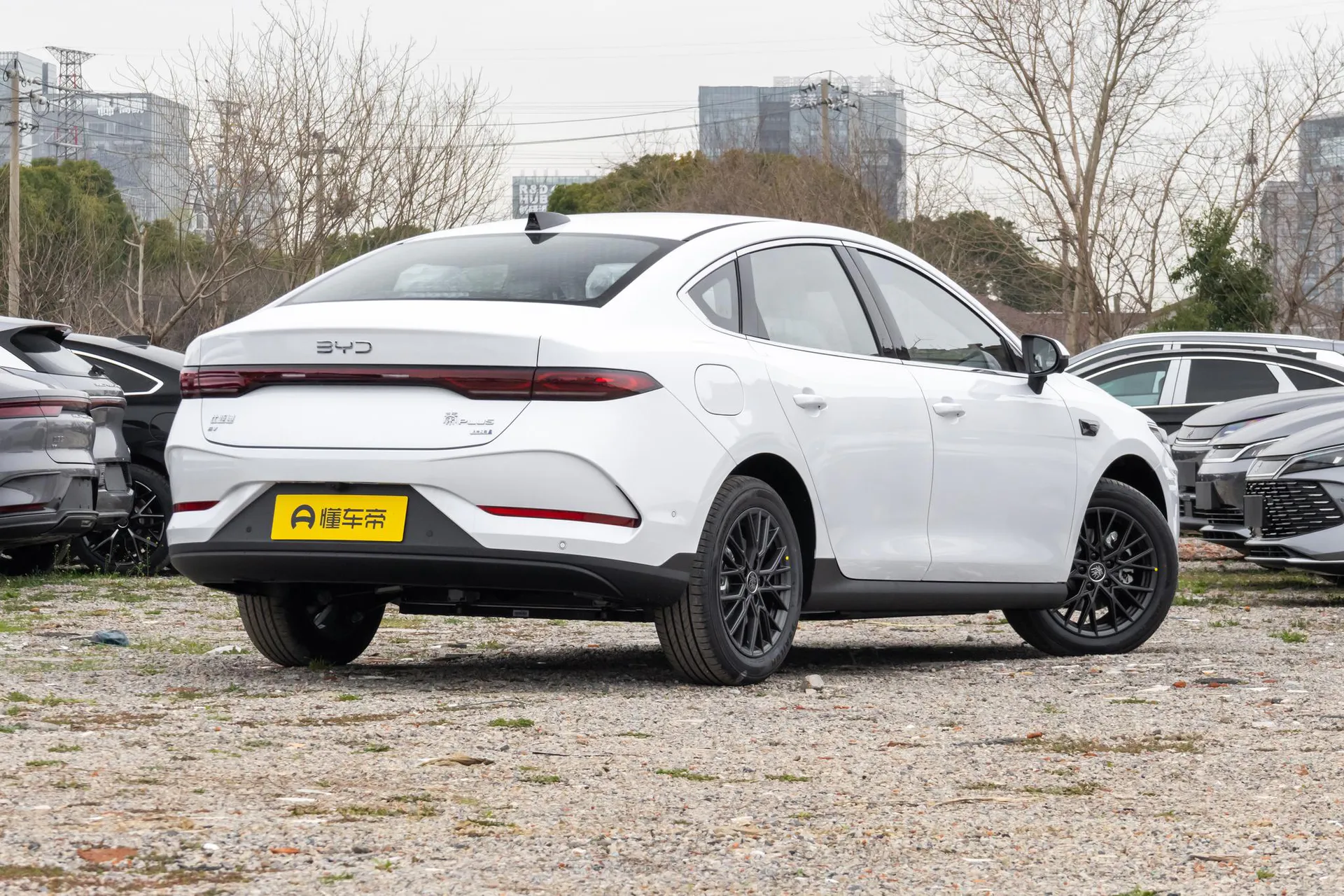  Qin Plus EV Smart Driving 510km Beyond