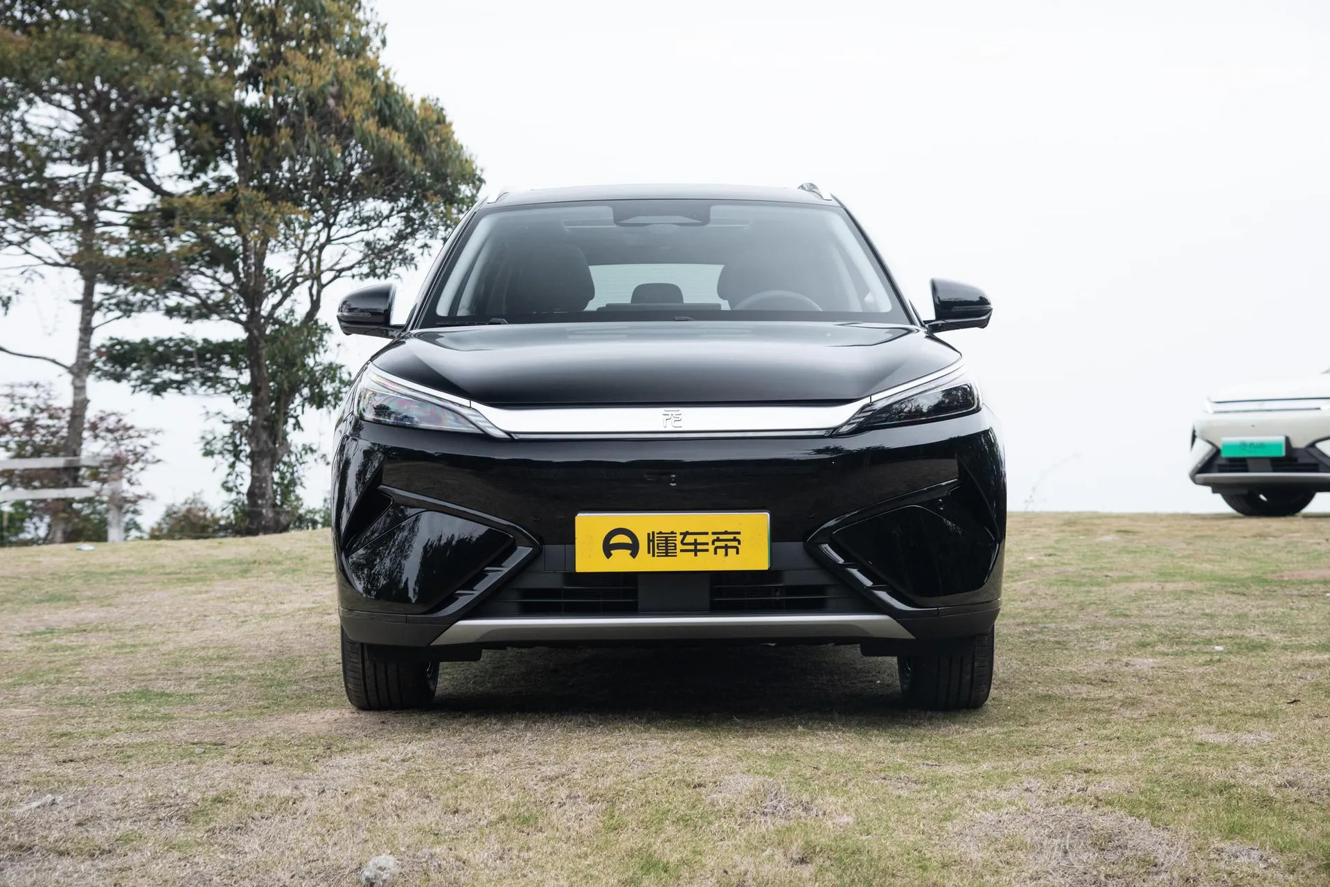  Yuan Plus Smart Driving 510 KM Excellence
