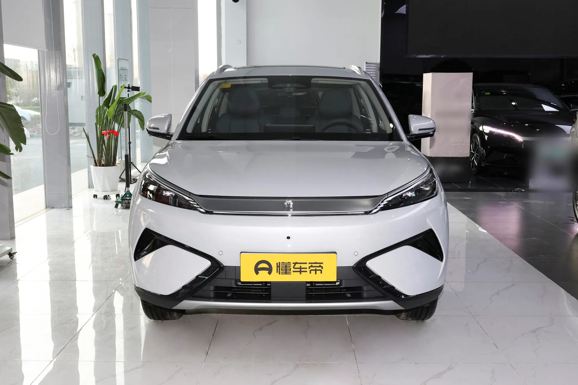  Yuan Plus Smart Driving 510 KM Excellence
