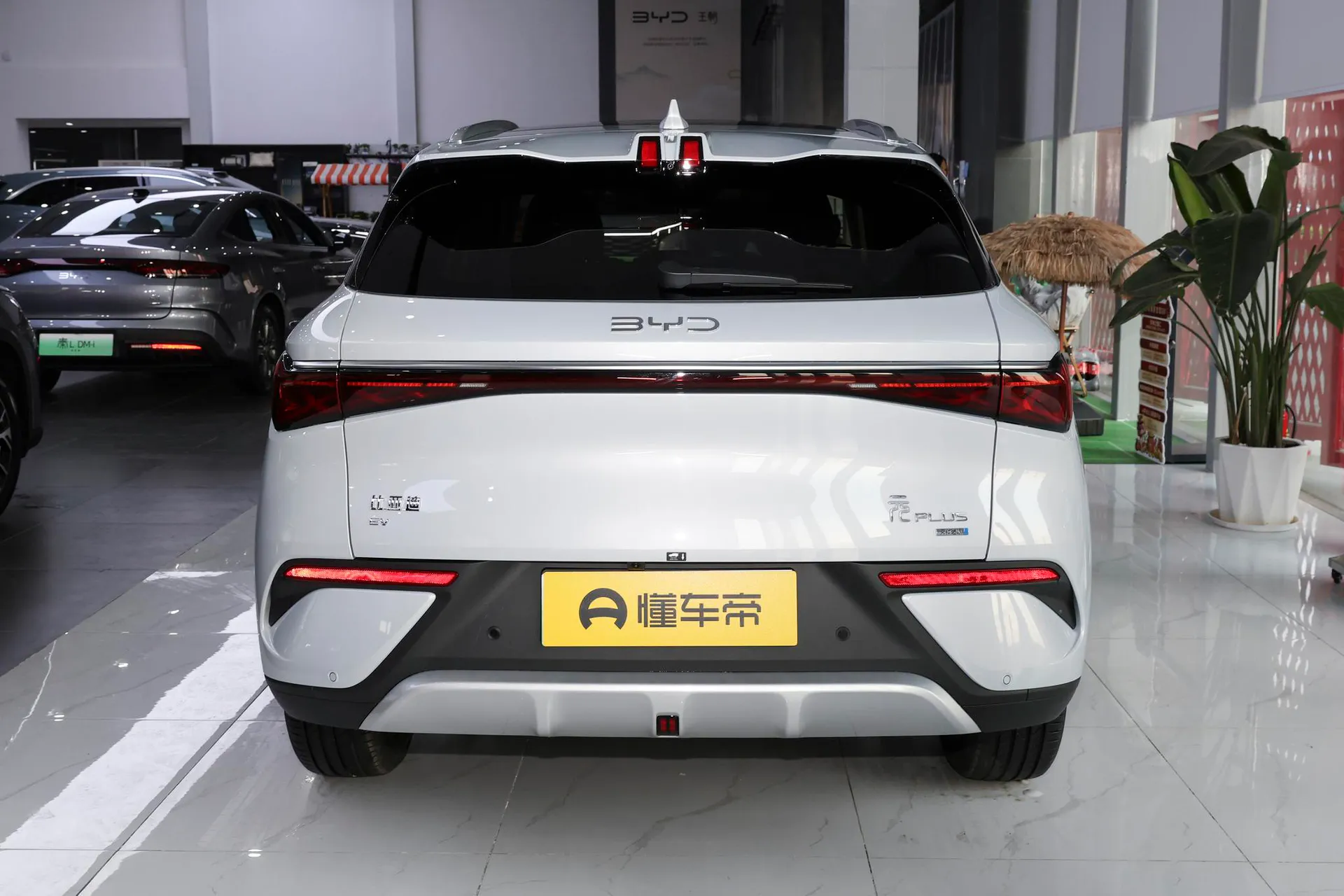  Yuan Plus Smart Driving 510 KM Excellence
