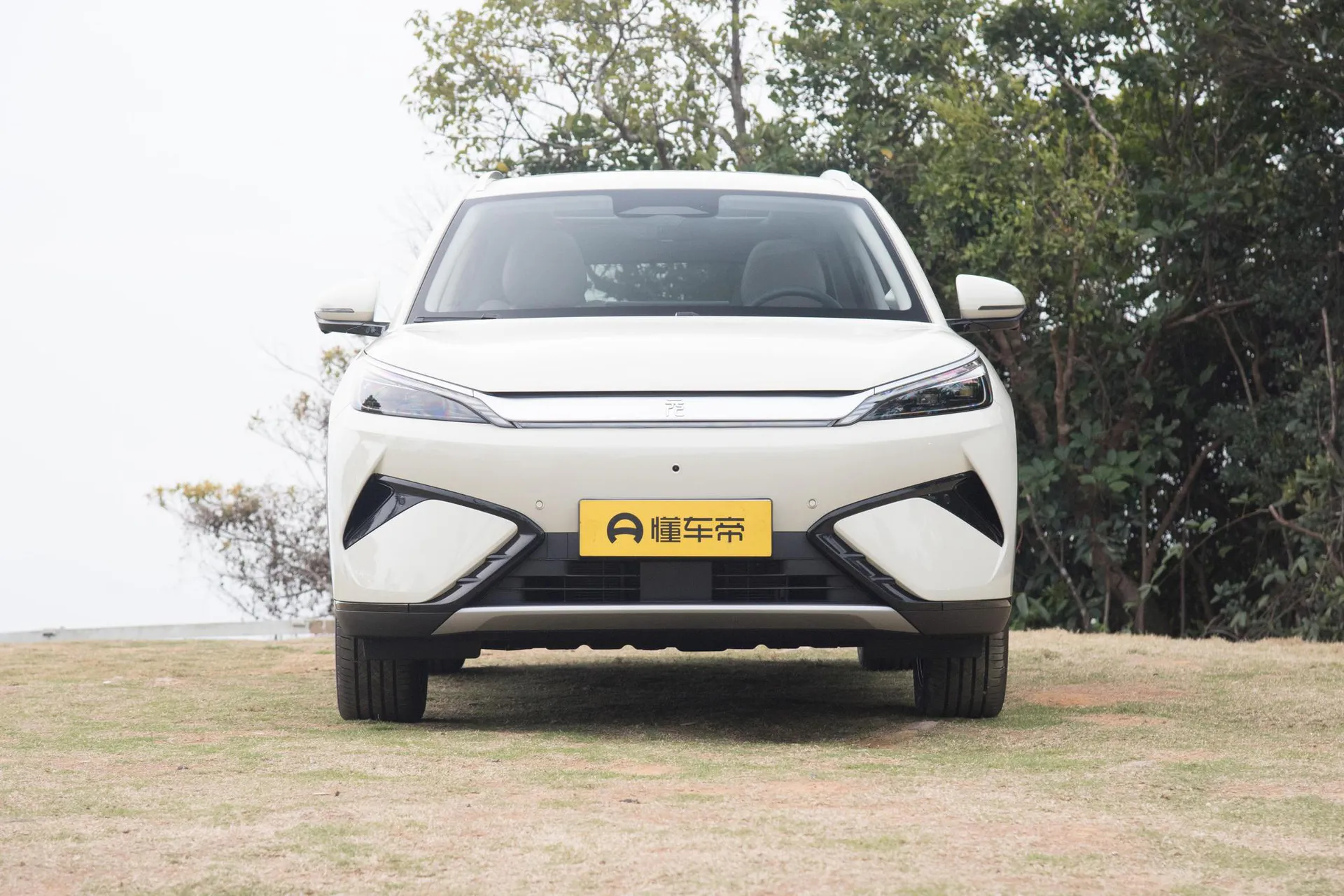  Yuan Plus Smart Driving 510 KM Excellence