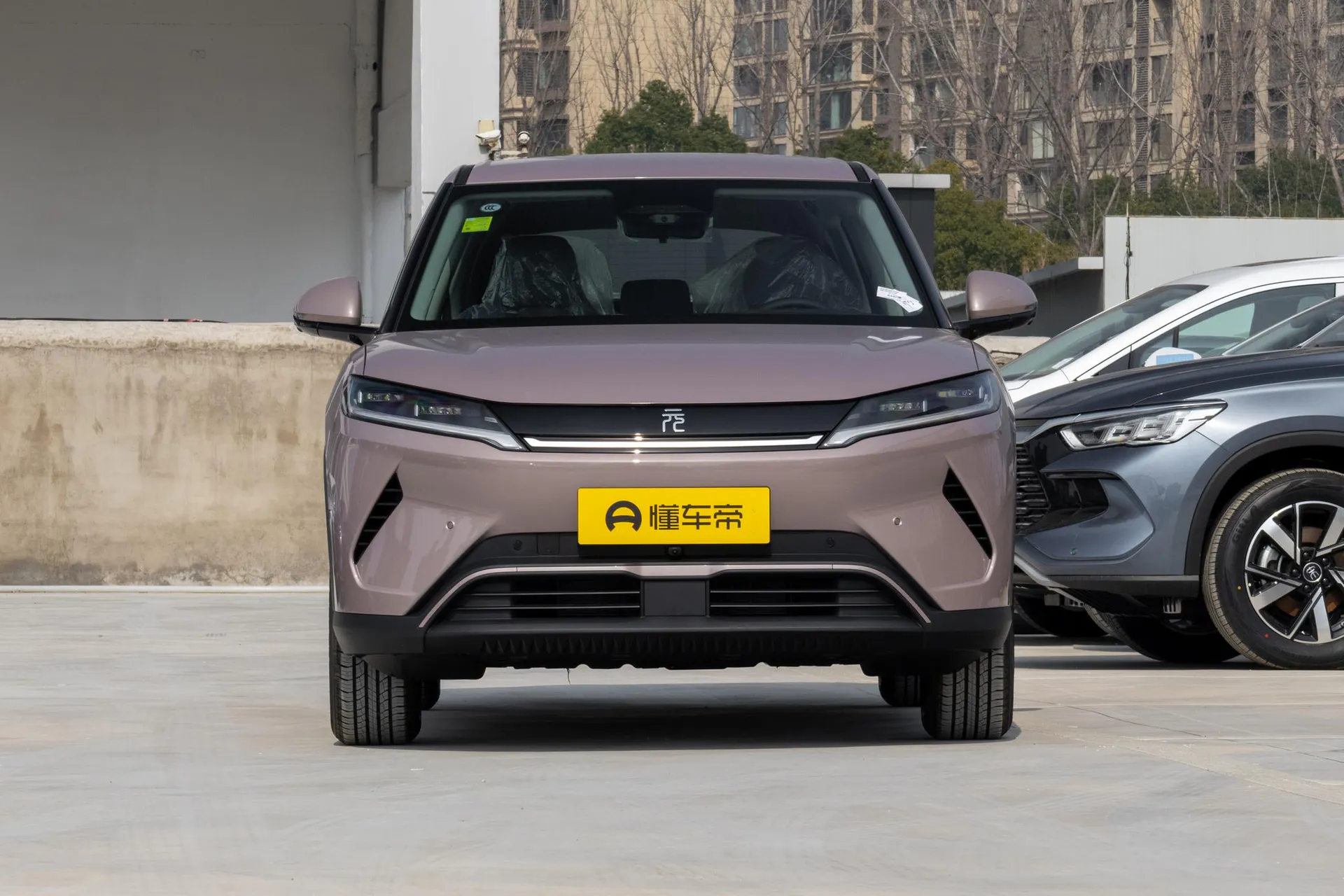 Yuan Up Smart Drive 401 KM Leading