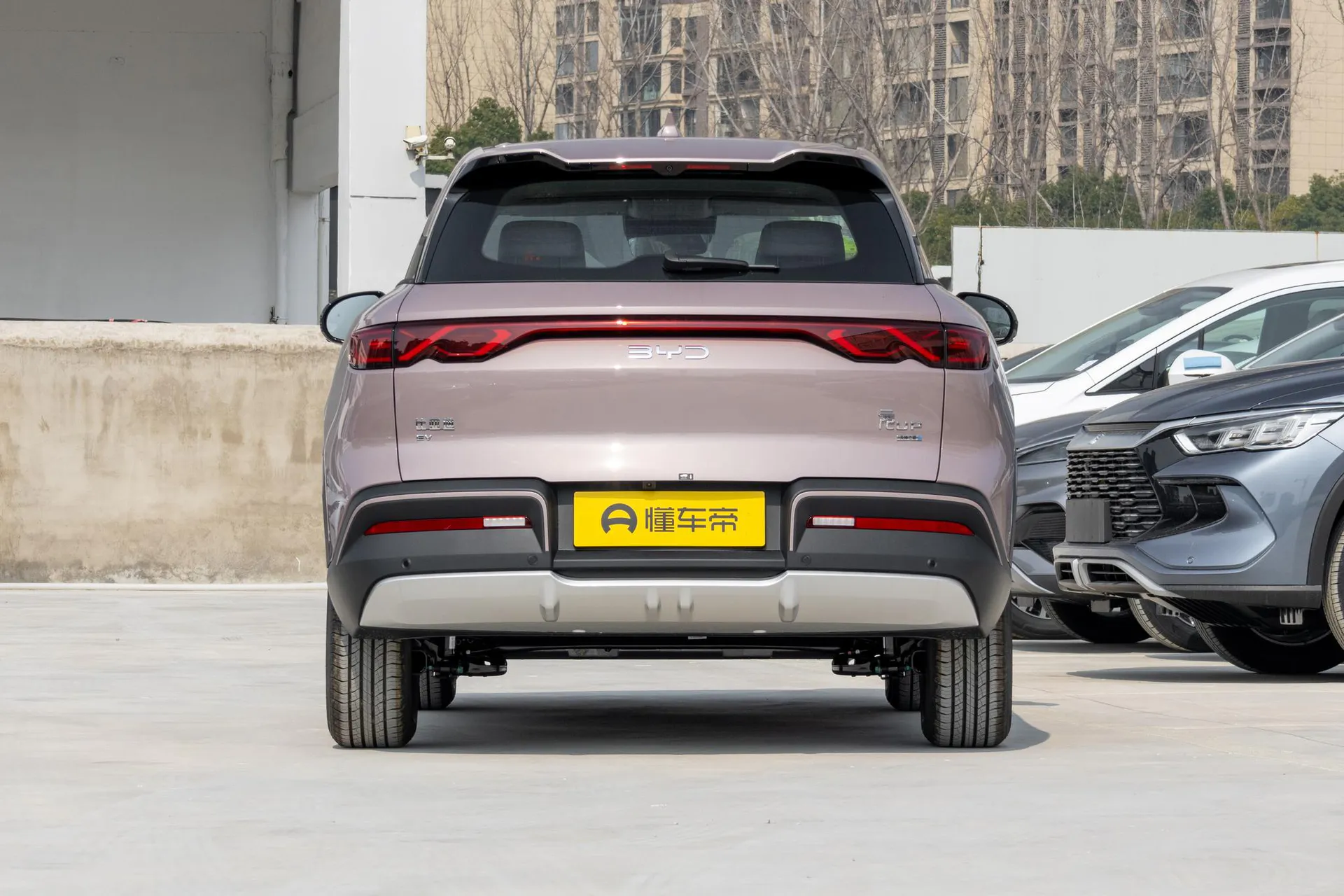  Yuan Up Smart Drive 401 KM Leading