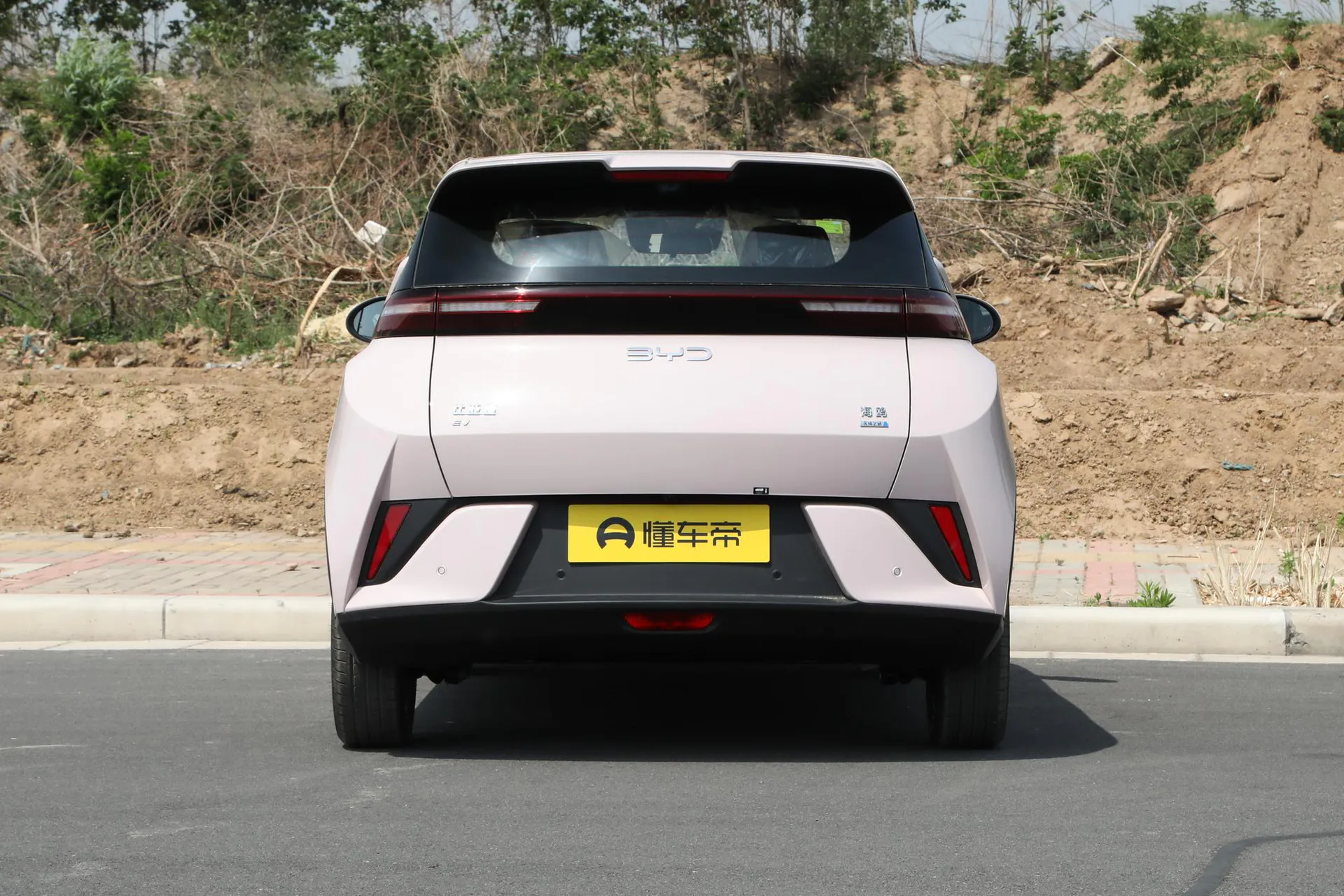  Seagull Smart Driving 405 KM Flying