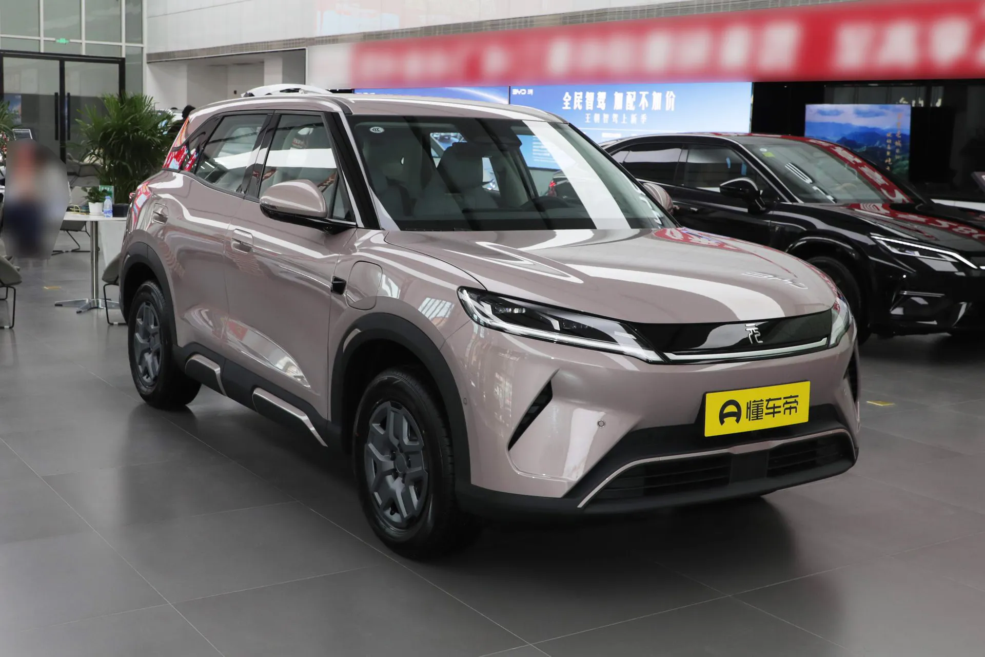  Yuan Up Smart Drive 401 KM Vitality