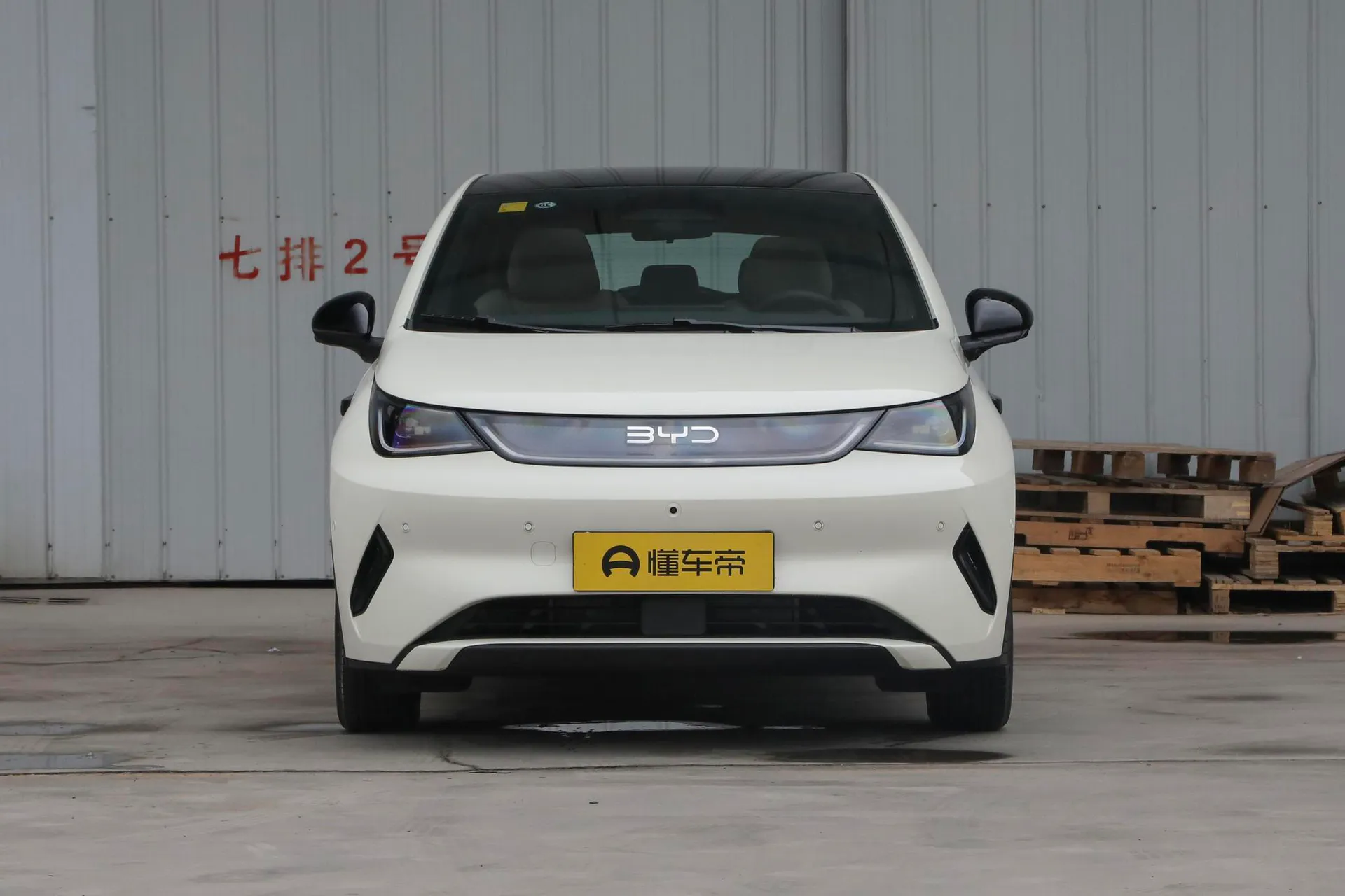  Dolphin Smart Driving 410 KM Fashion