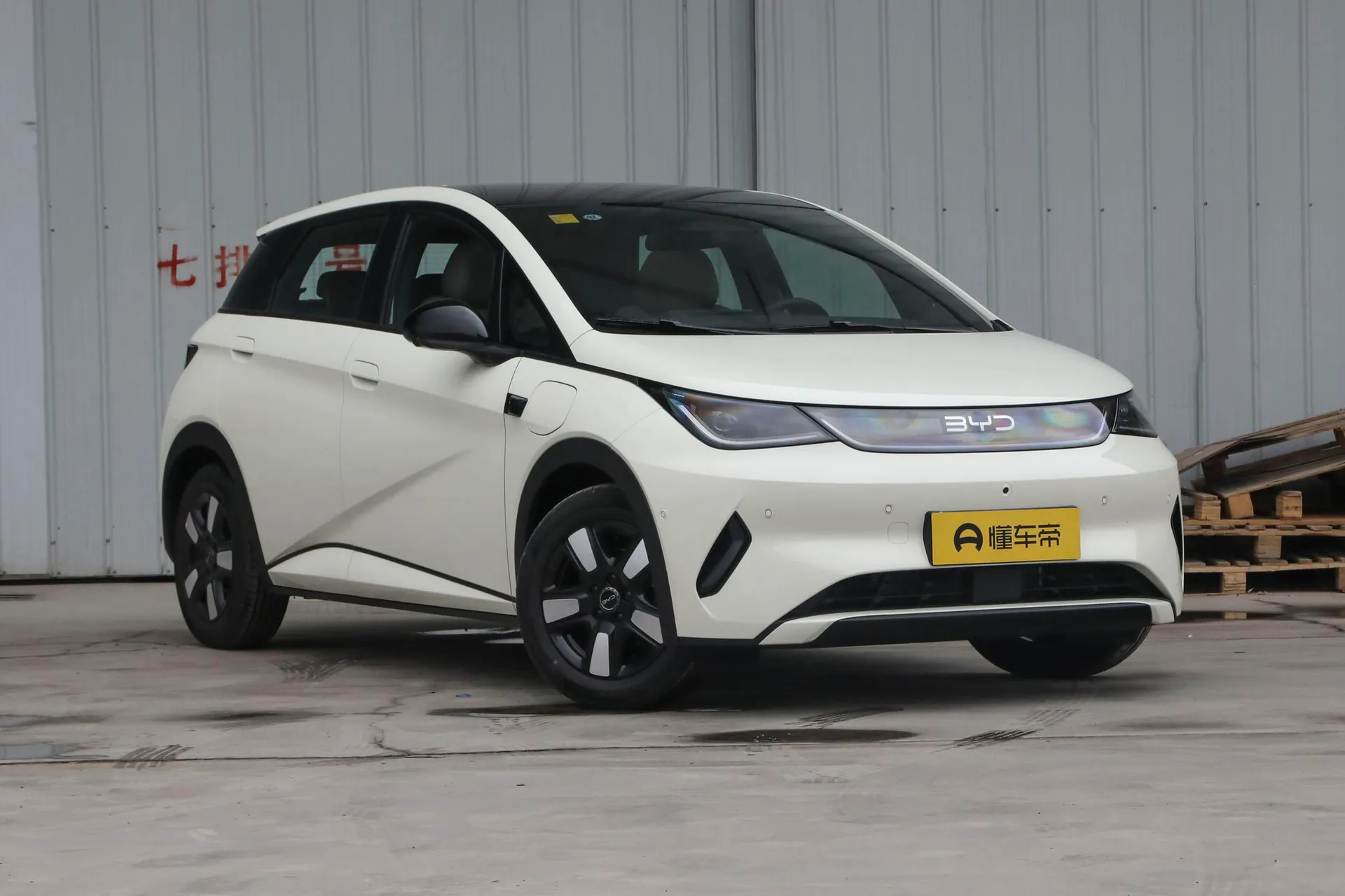  Dolphin Smart Driving 410 KM Fashion