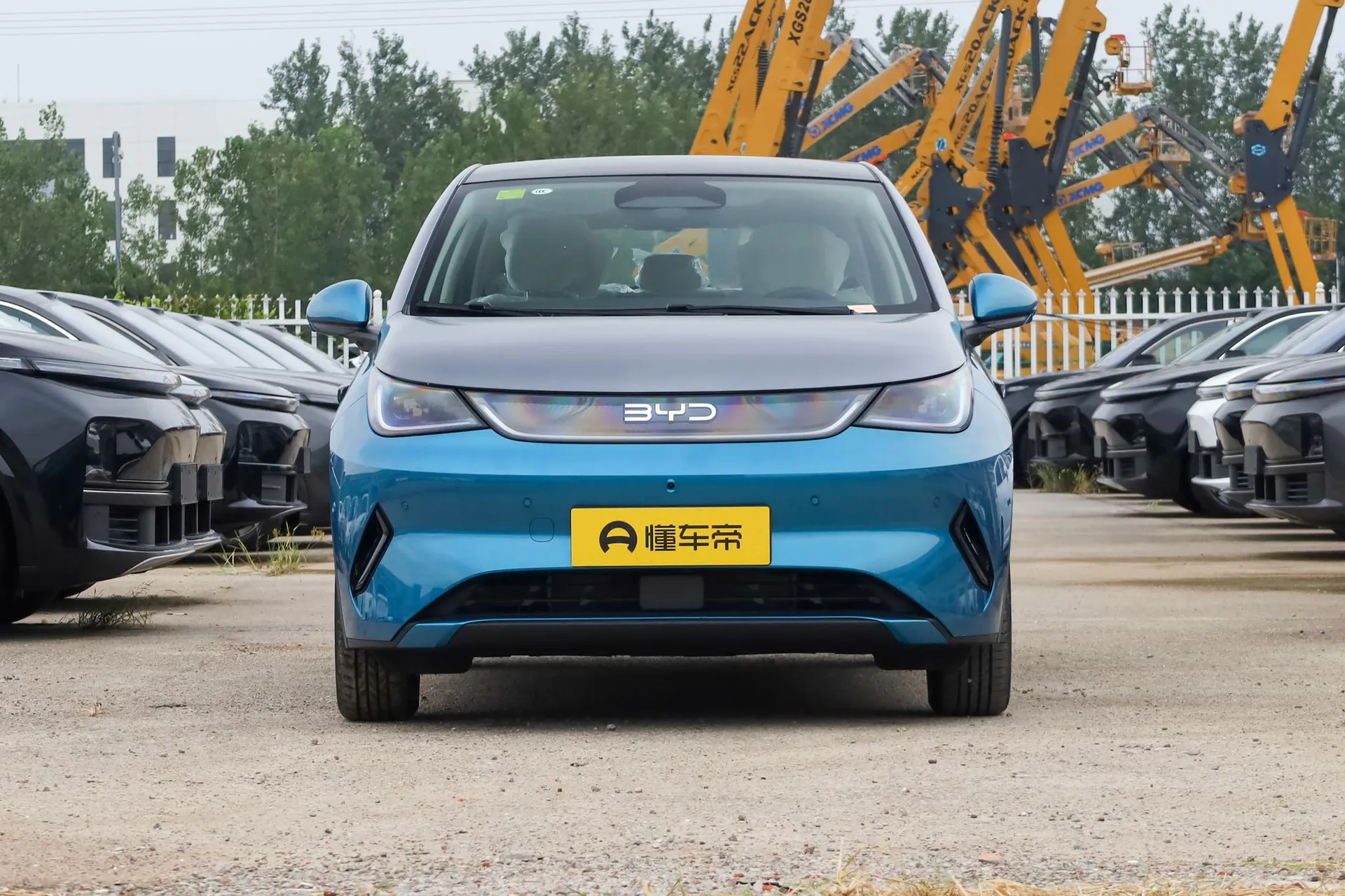  Dolphin Smart Driving 410 KM Fashion