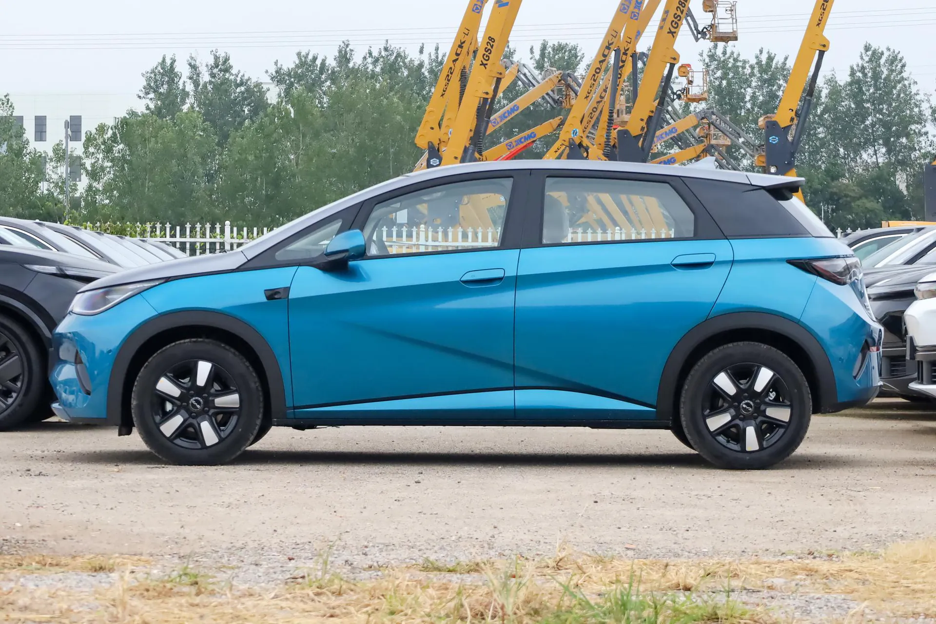  Dolphin Smart Driving 410 KM Fashion