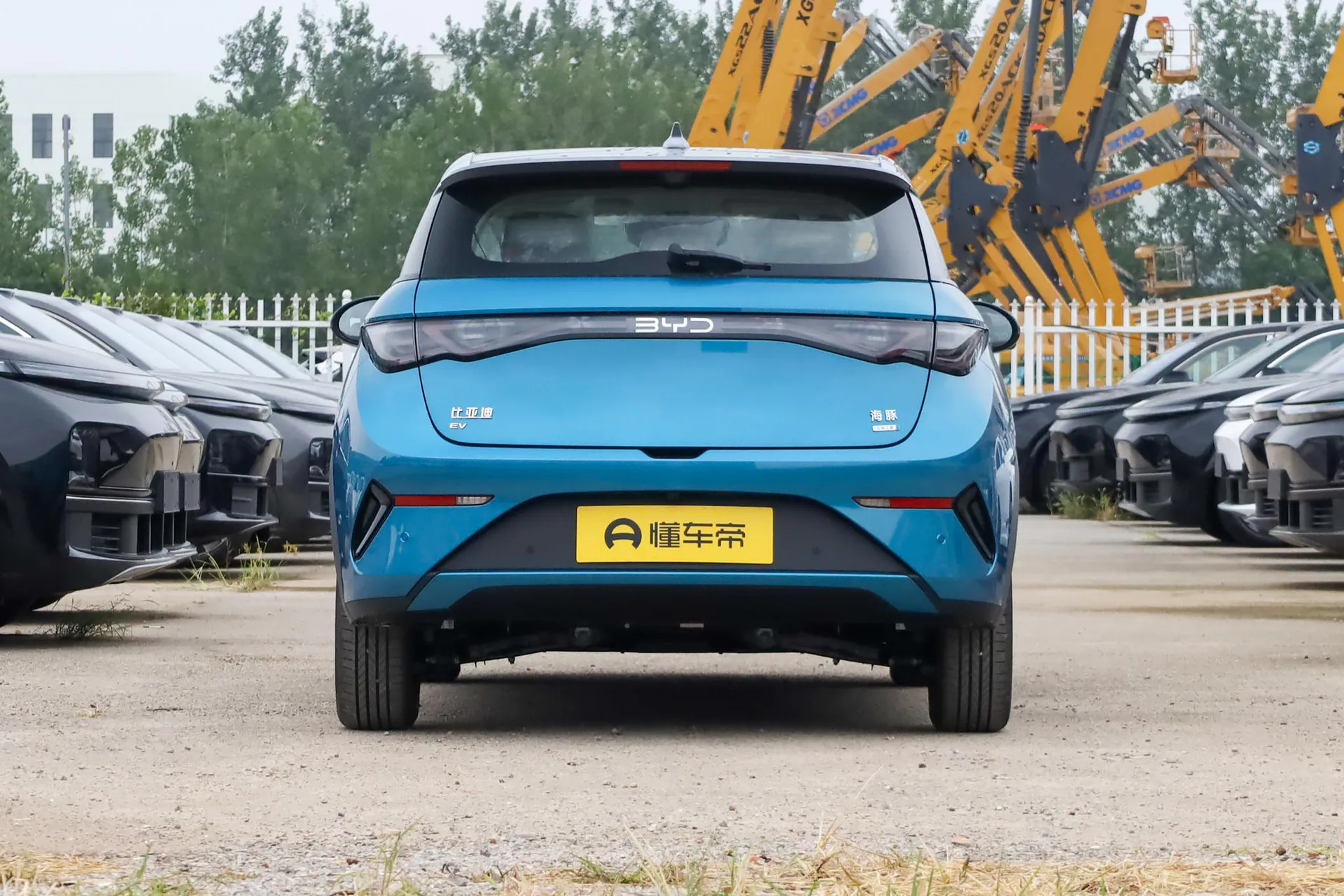  Dolphin Smart Driving 410 KM Fashion