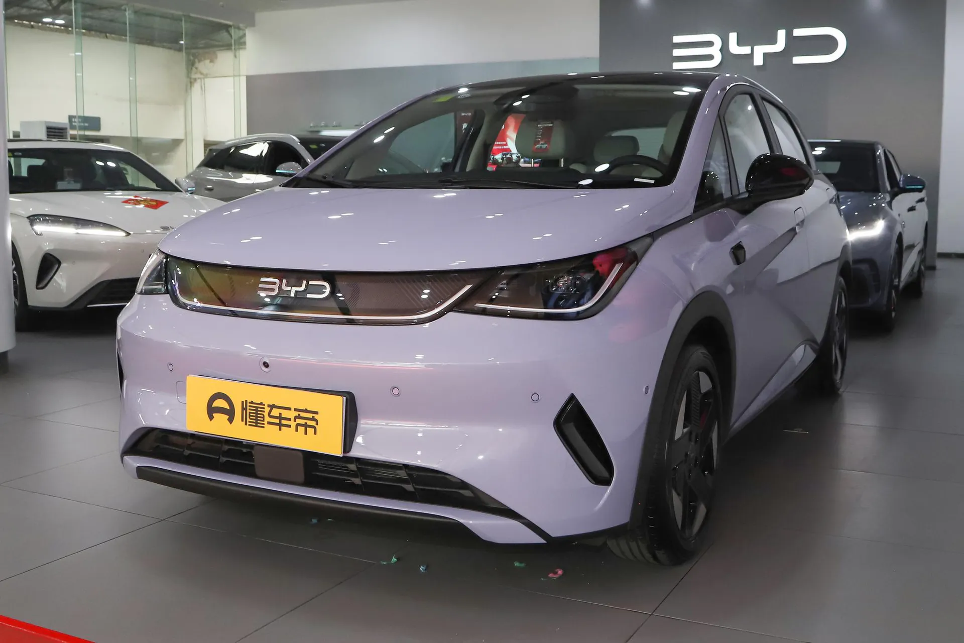  Dolphin Smart Driving 520 KM Knight