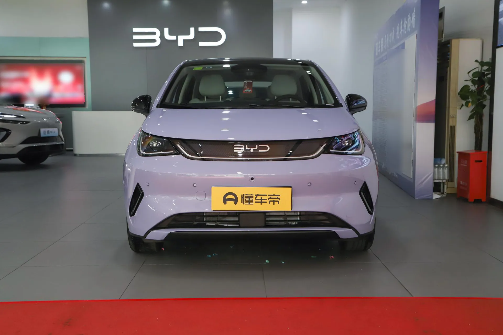  Dolphin Smart Driving 520 KM Knight