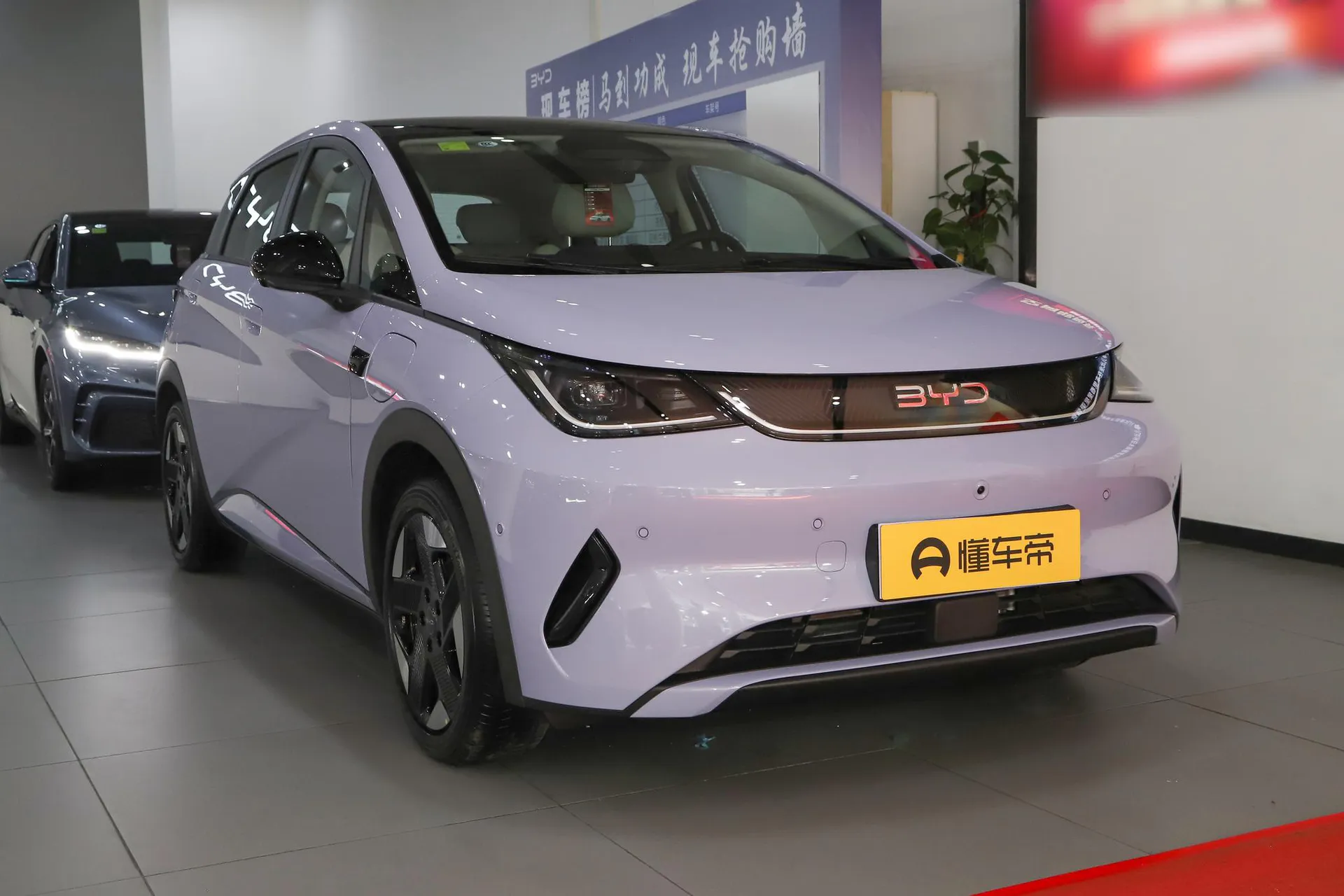  Dolphin Smart Driving 520 KM Knight