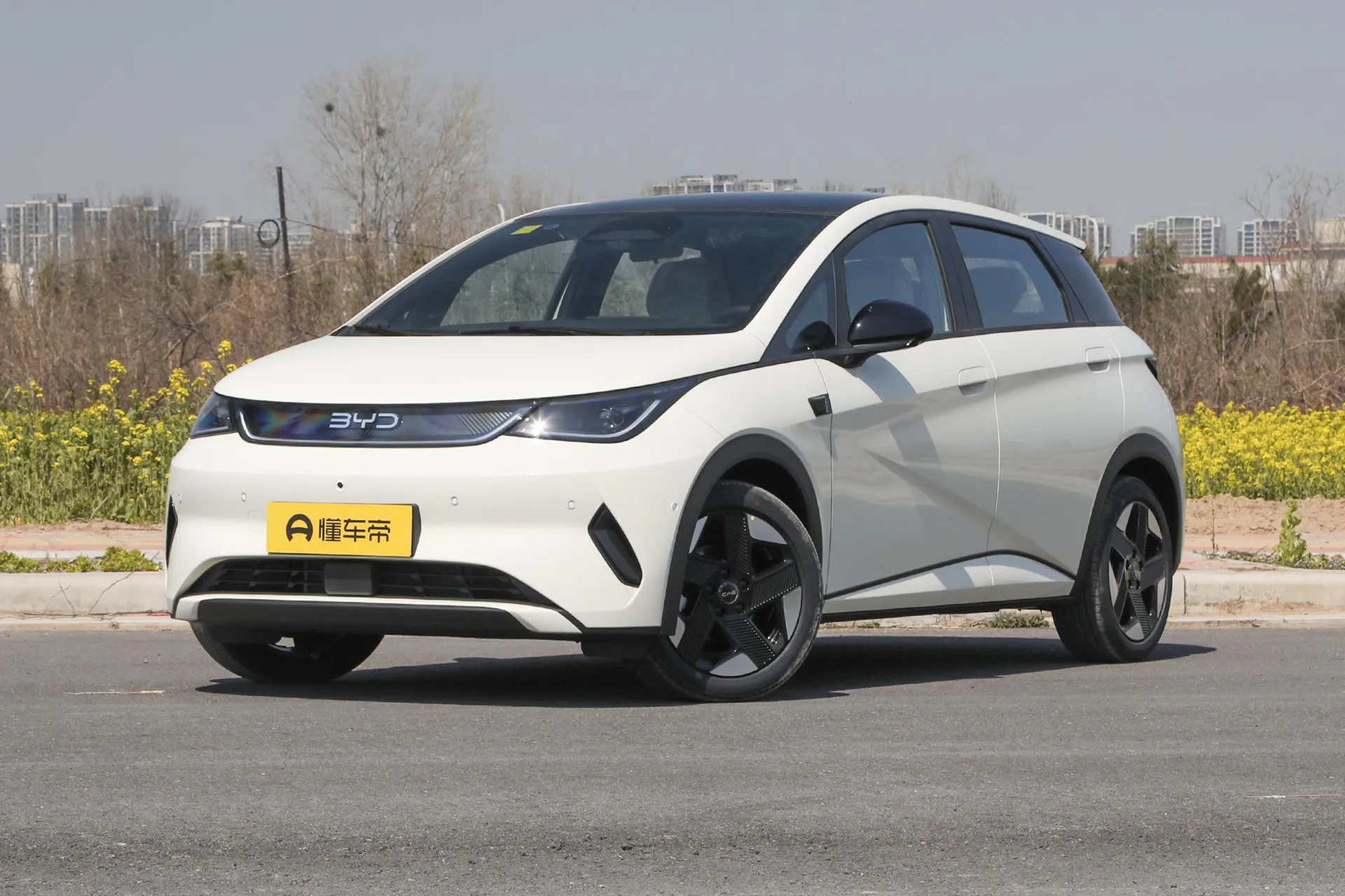  Dolphin Smart Driving 520 KM Knight