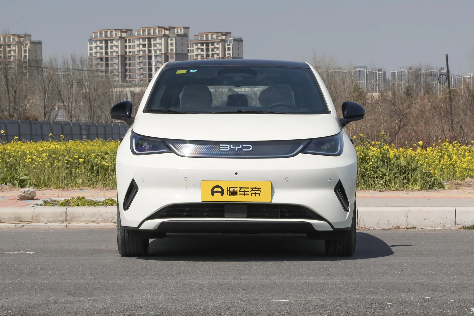  Dolphin Smart Driving 520 KM Knight