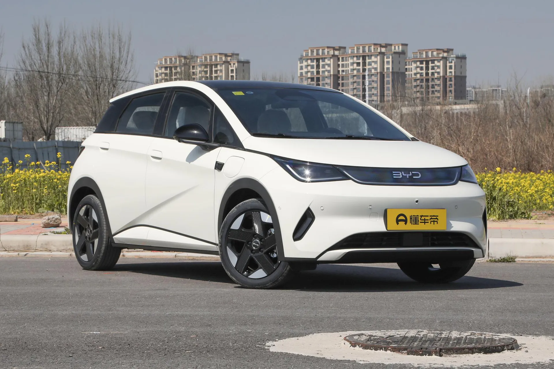  Dolphin Smart Driving 520 KM Knight