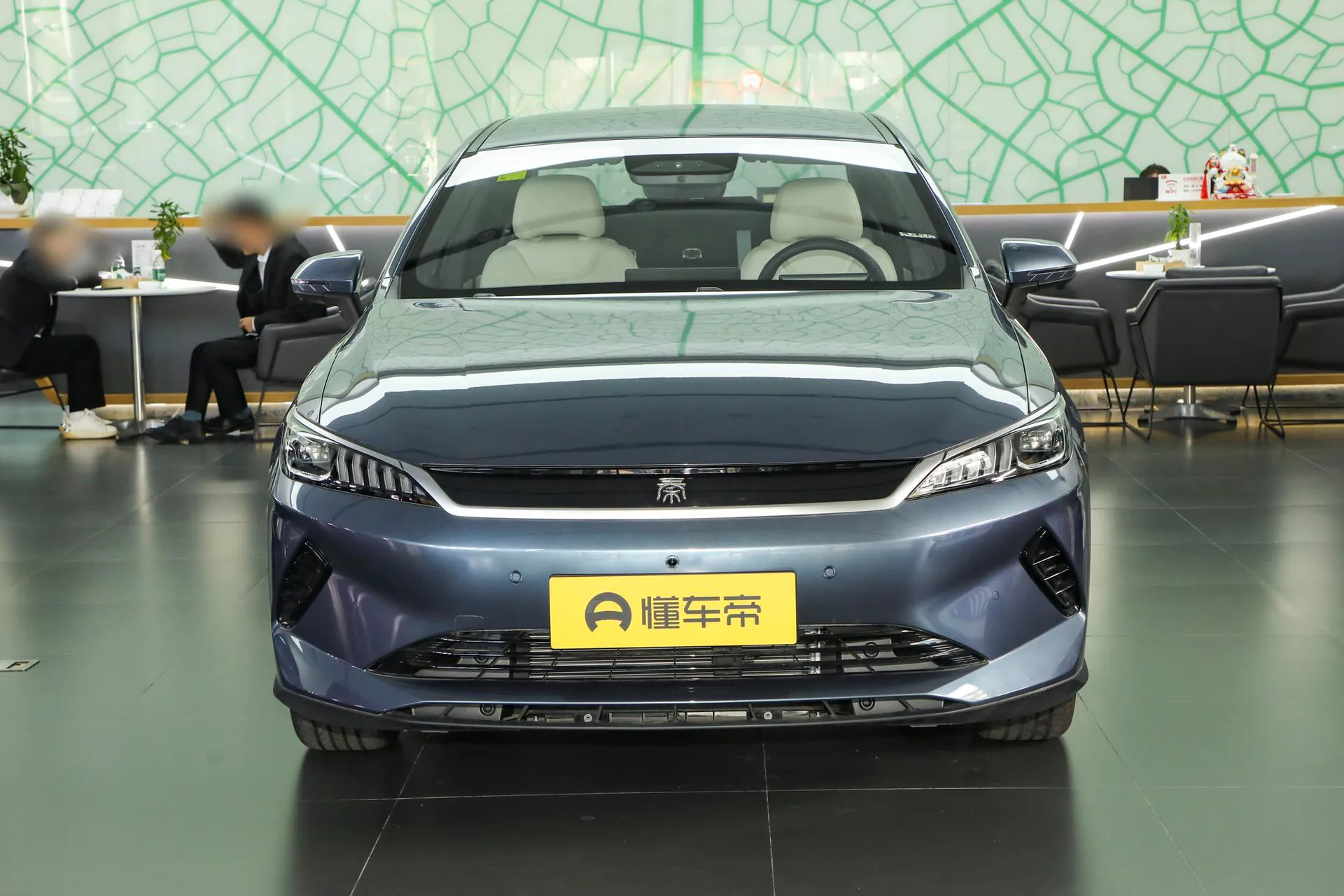  Qin Plus EV Smart Driving 510 KM Pilot
