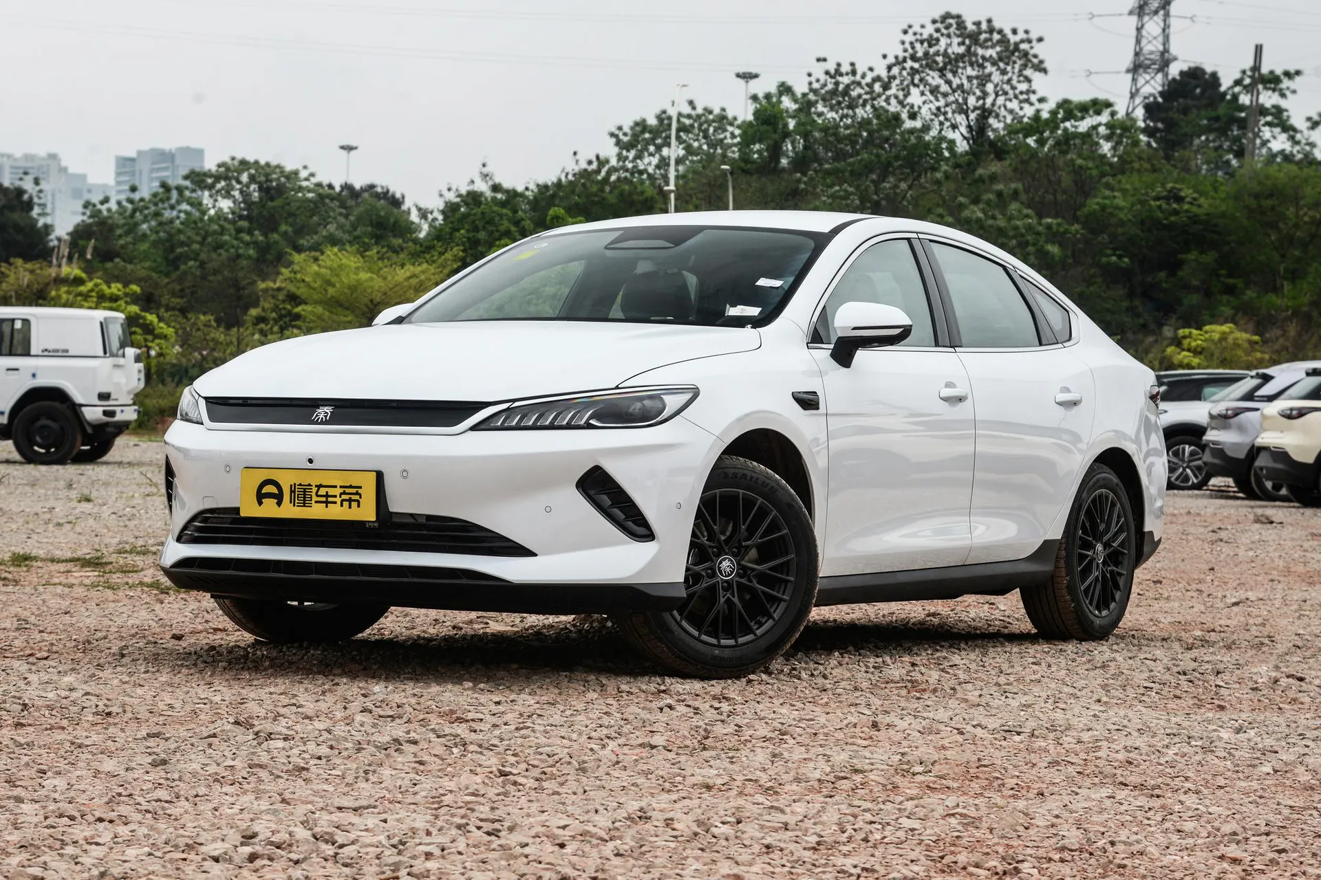  Qin Plus EV Smart Driving 510 KM Pilot