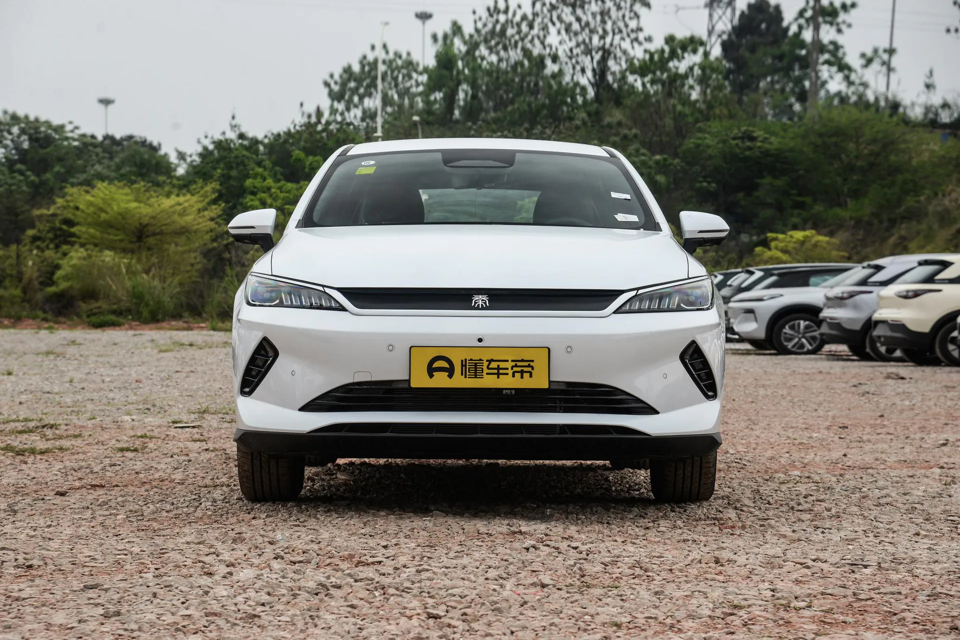  Qin Plus EV Smart Driving 510 KM Pilot