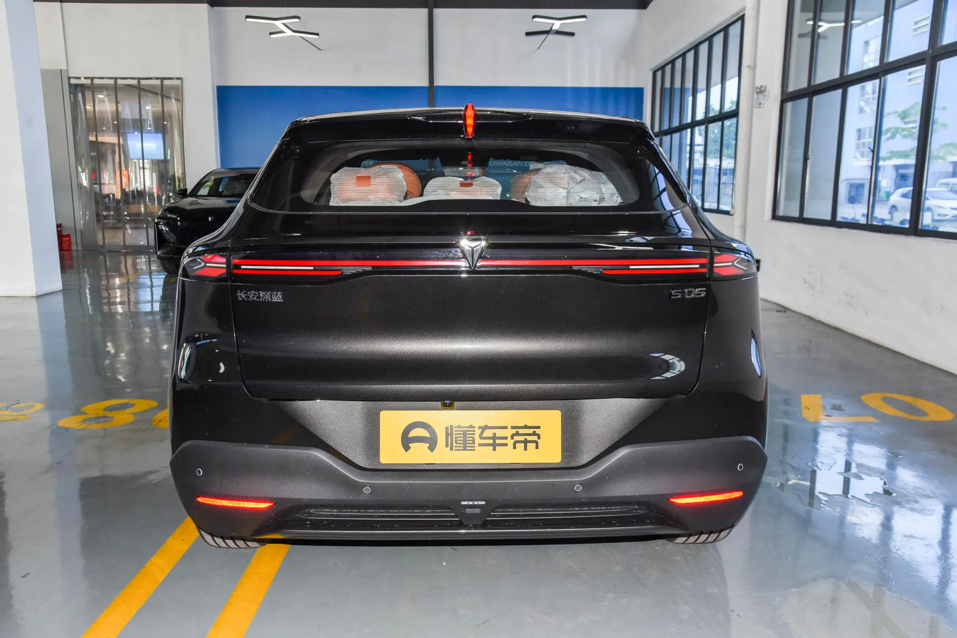  S05 620 Max Pure EV