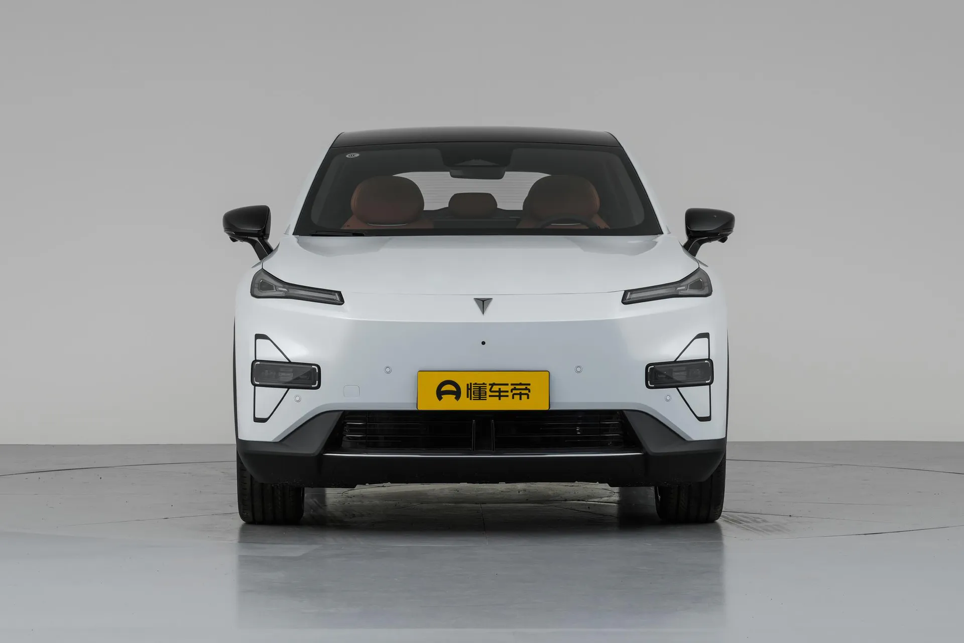  S05 620 Max Pure EV