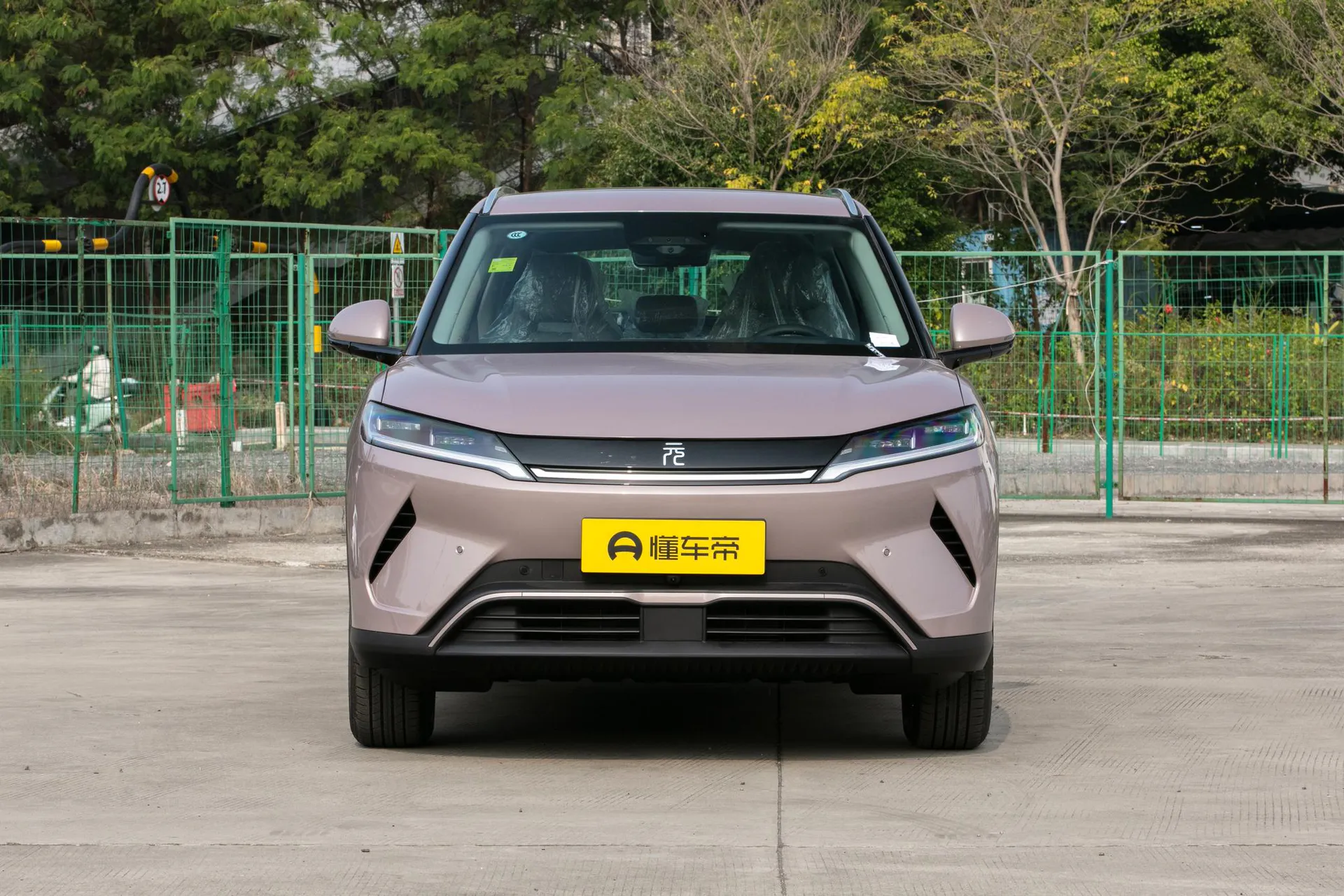  Yuan Up Smart Drive 401 KM Surpass