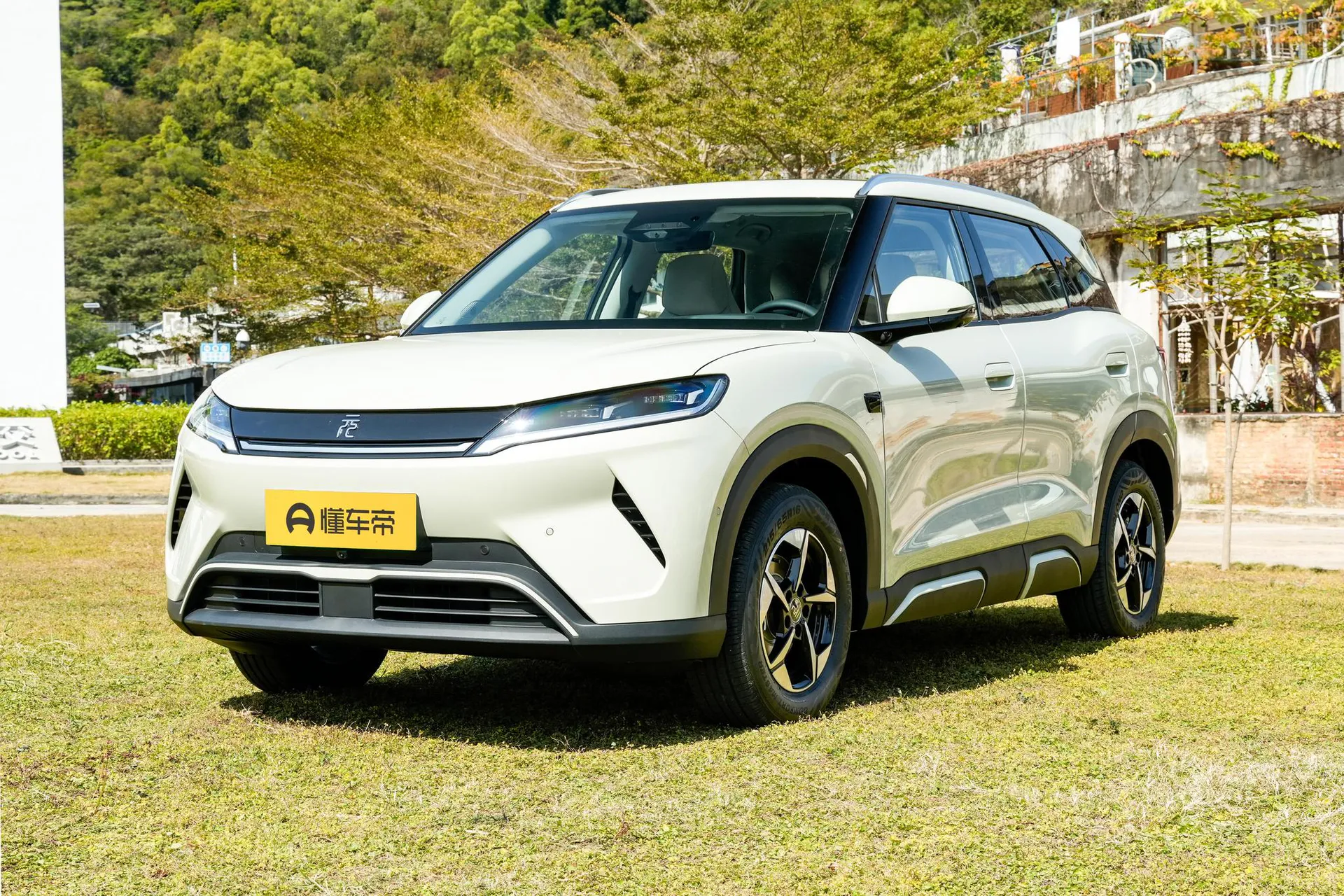  Yuan Up Smart Drive 401 KM Surpass