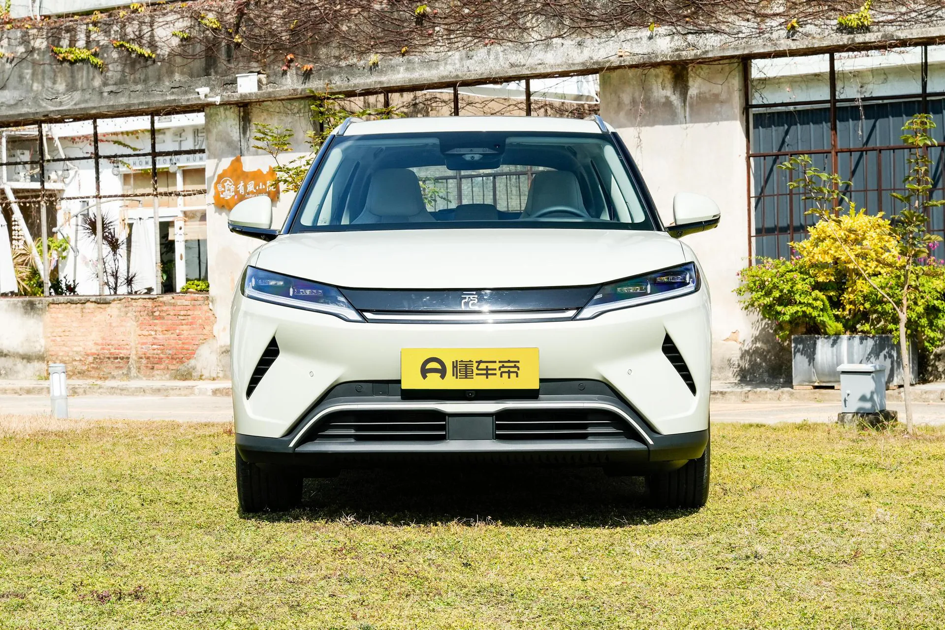  Yuan Up Smart Drive 401 KM Surpass