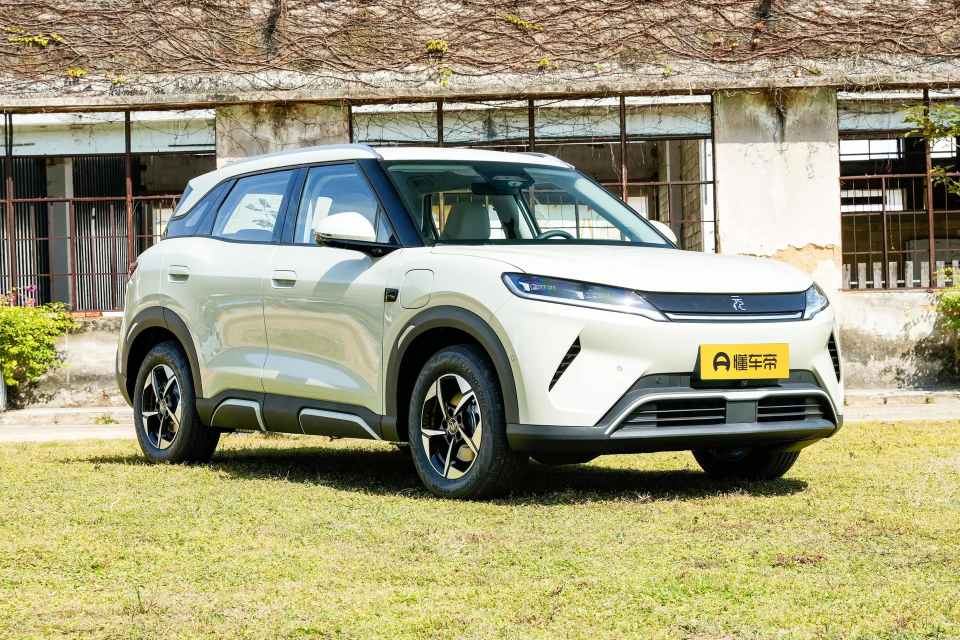  Yuan Up Smart Drive 401 KM Surpass