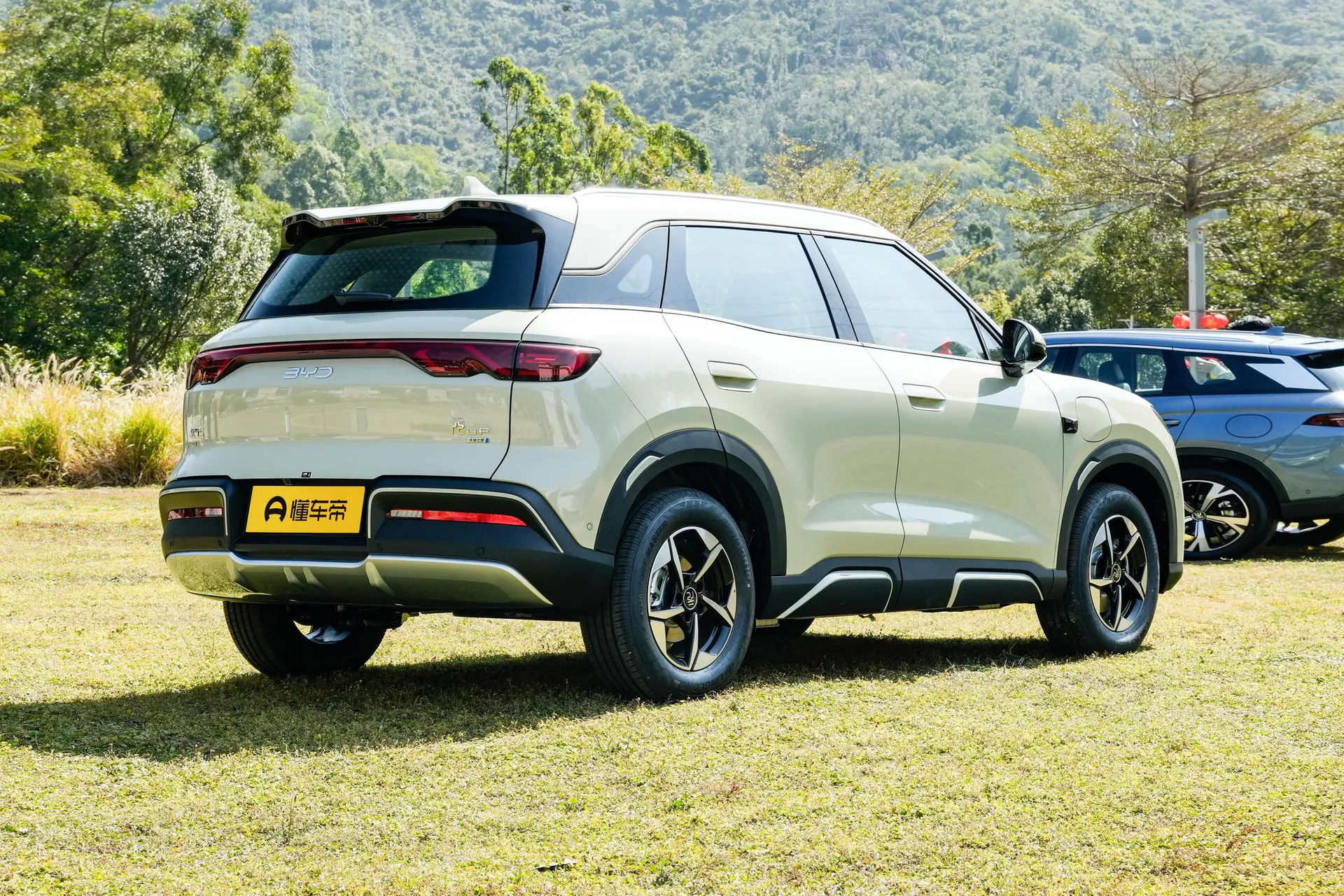  Yuan Up Smart Drive 401 KM Surpass