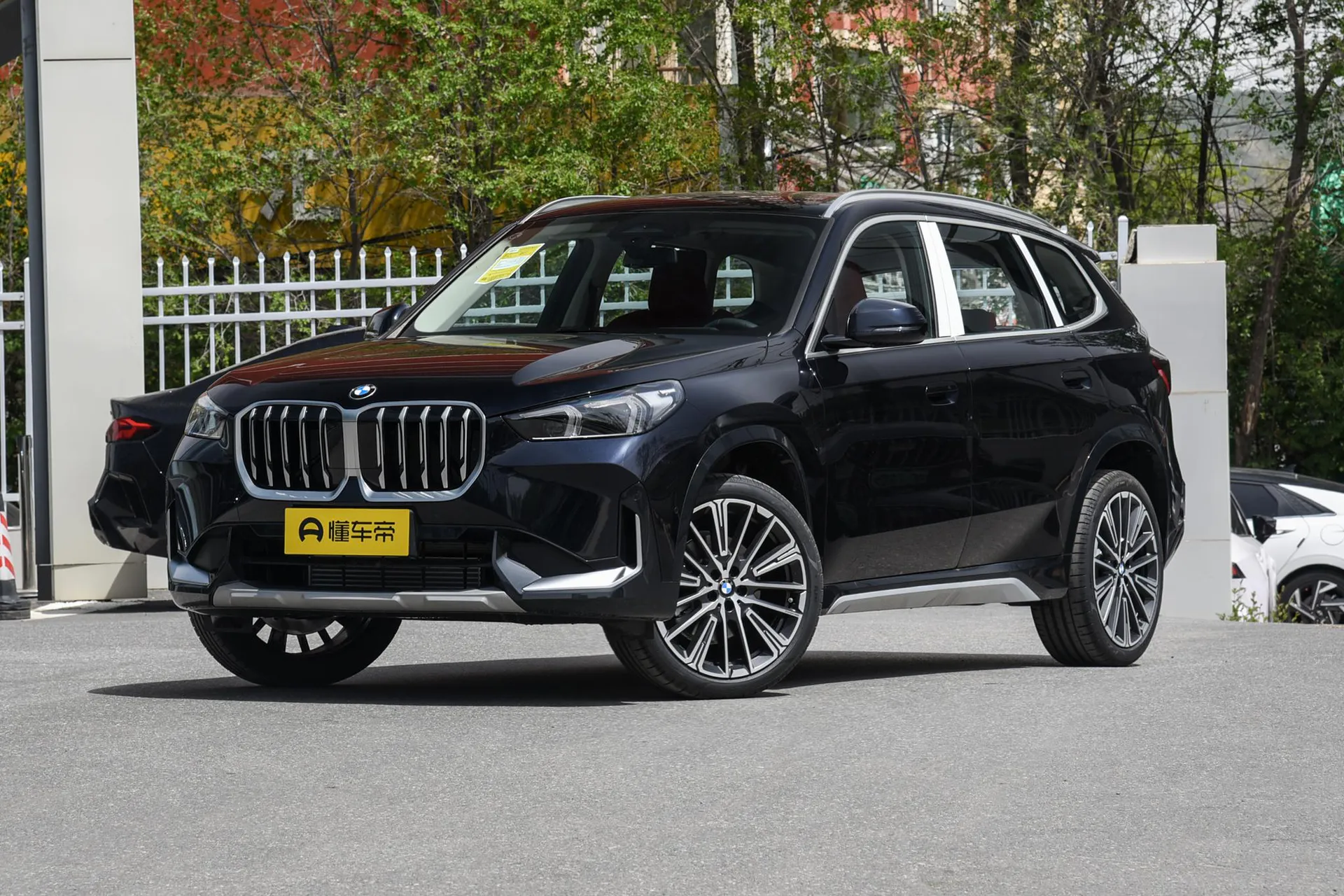  X1 xDrive 25 Li X Design Package