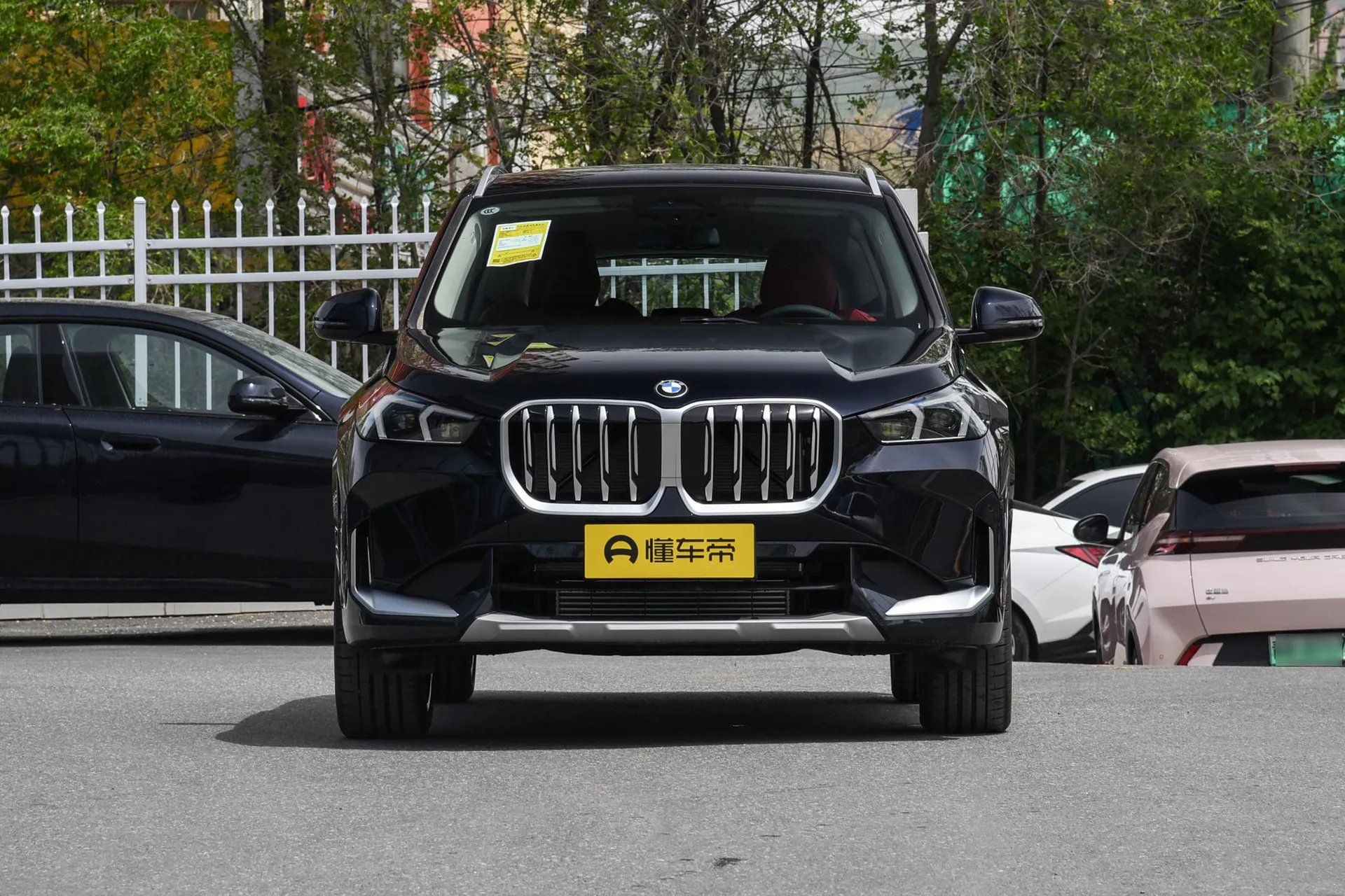 X1 xDrive 25 Li X Design Package