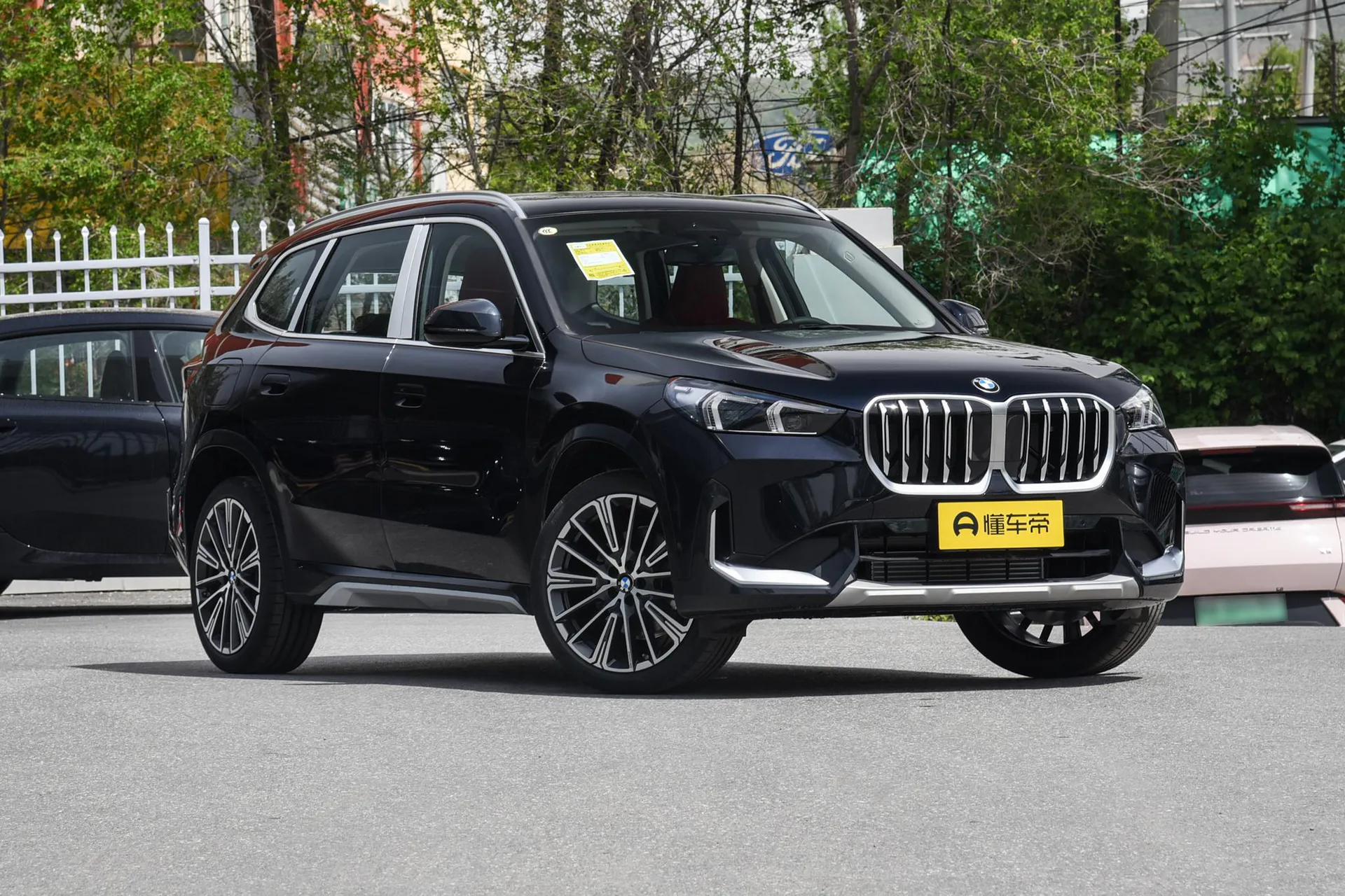  X1 xDrive 25 Li X Design Package