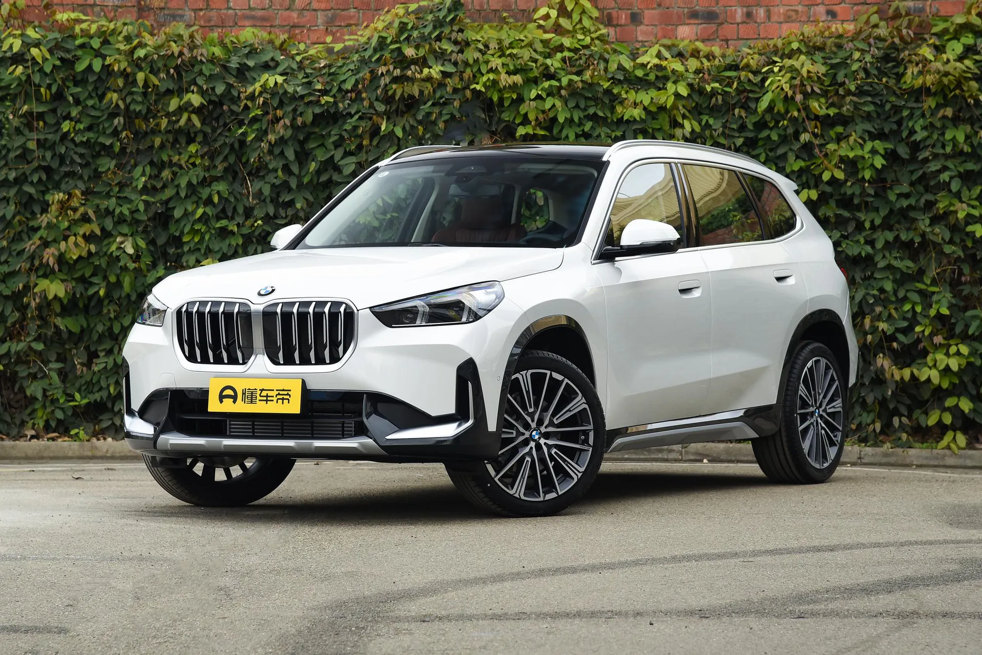 X1 xDrive 25 Li X Design Package