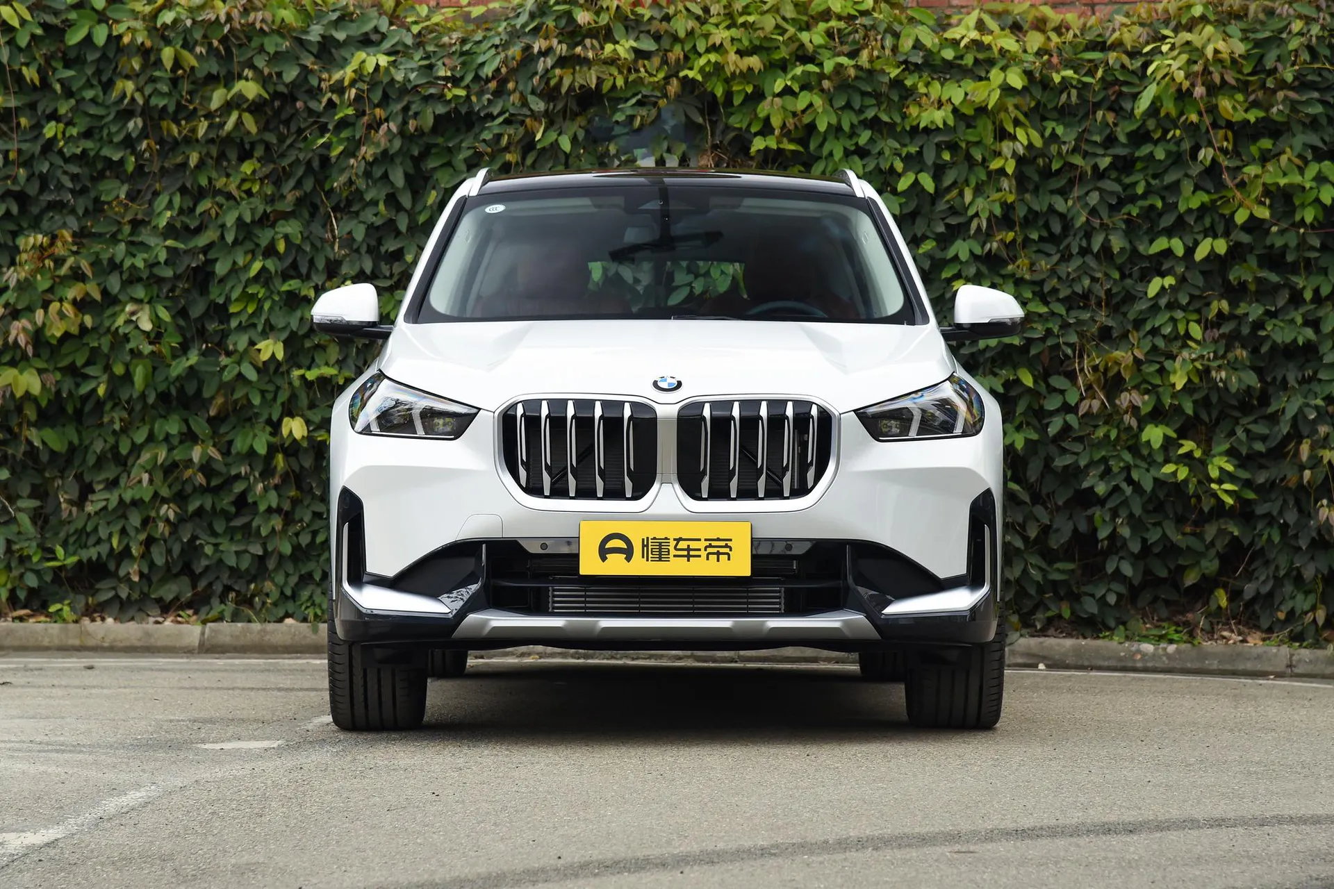  X1 xDrive 25 Li X Design Package