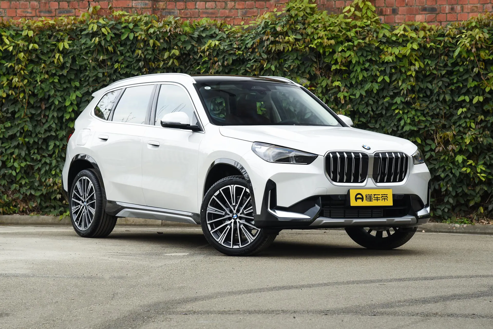  X1 xDrive 25 Li X Design Package