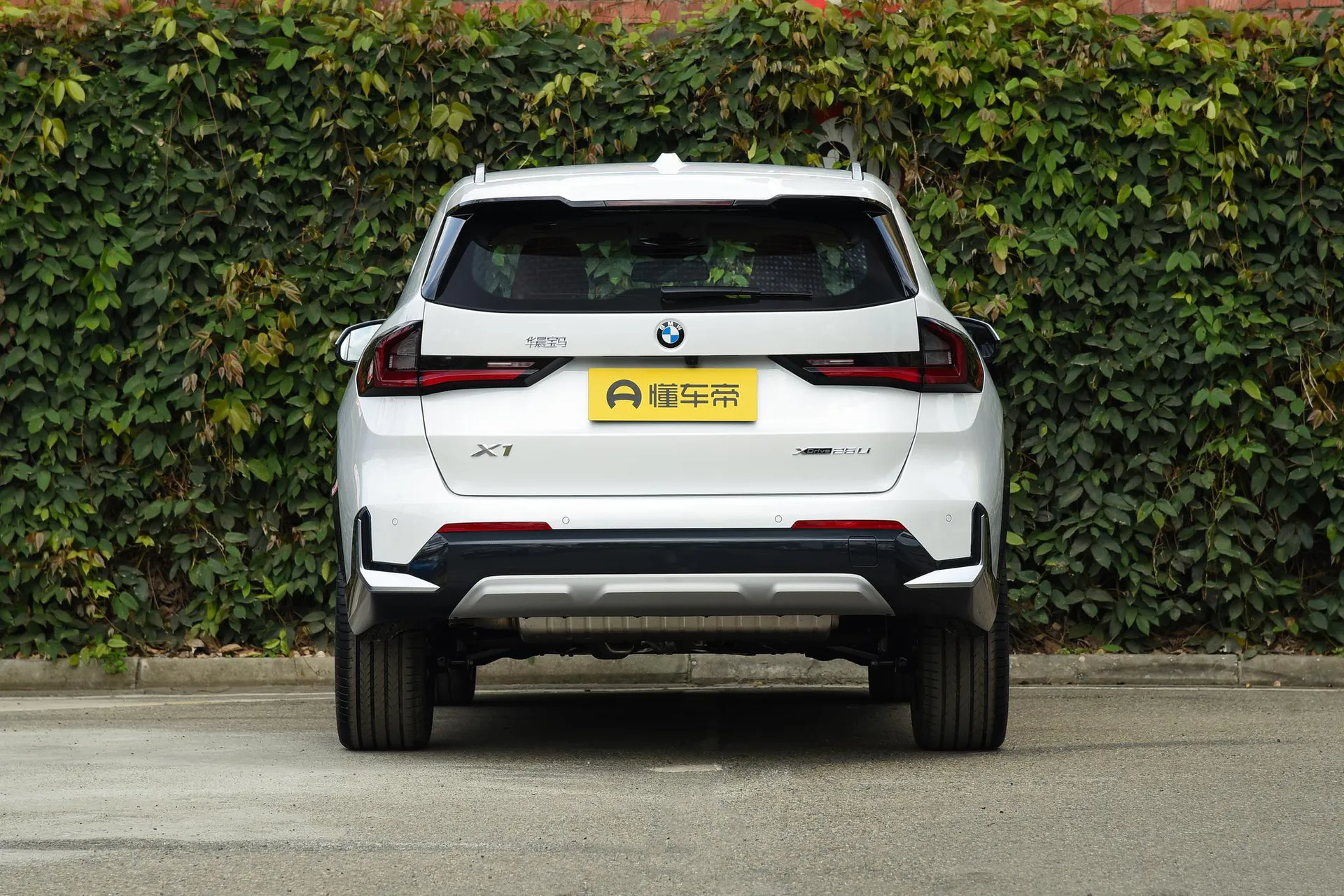  X1 xDrive 25 Li X Design Package