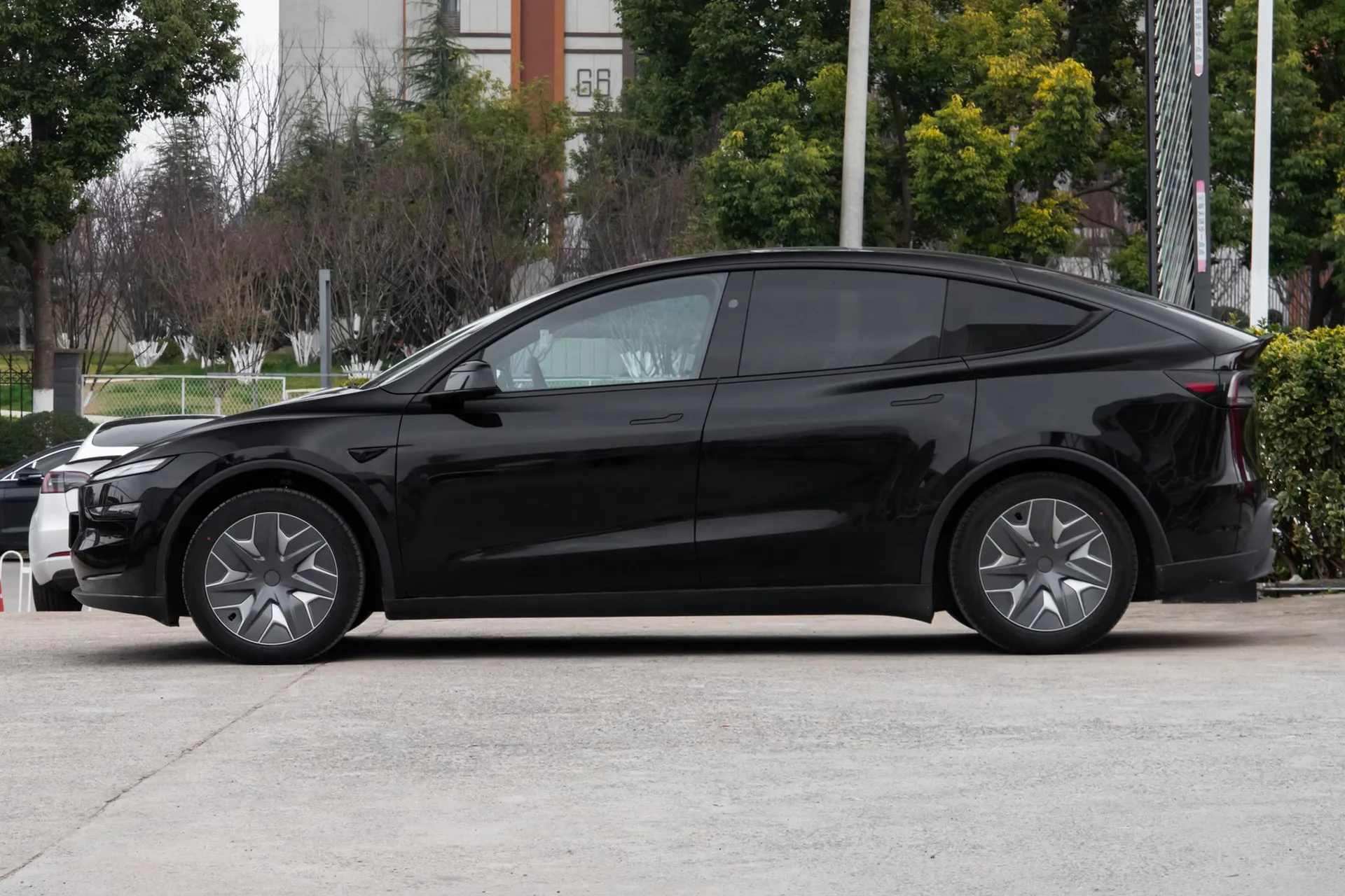  Model Y L Standard