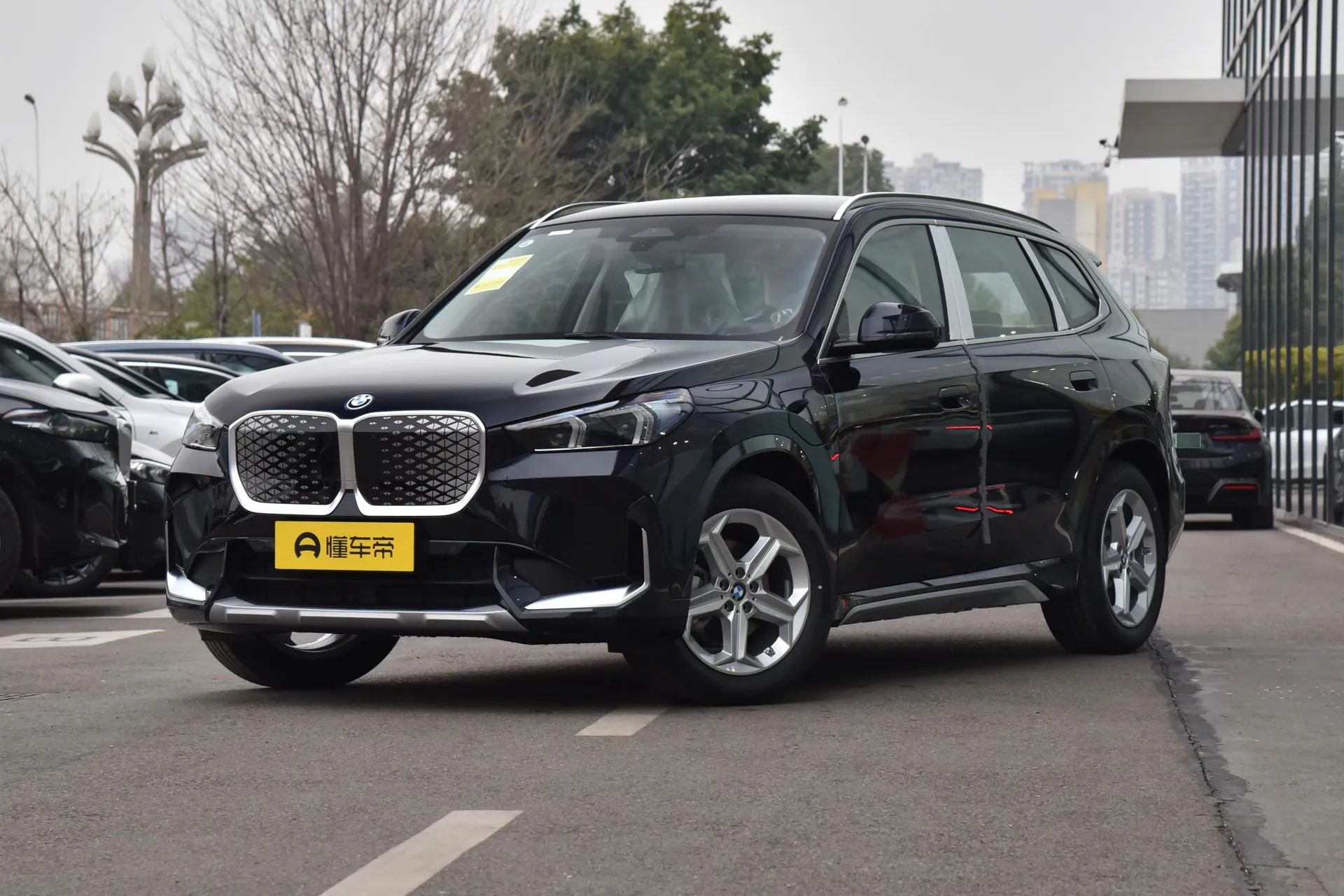  iX1 eDrive 25 L X Design Package