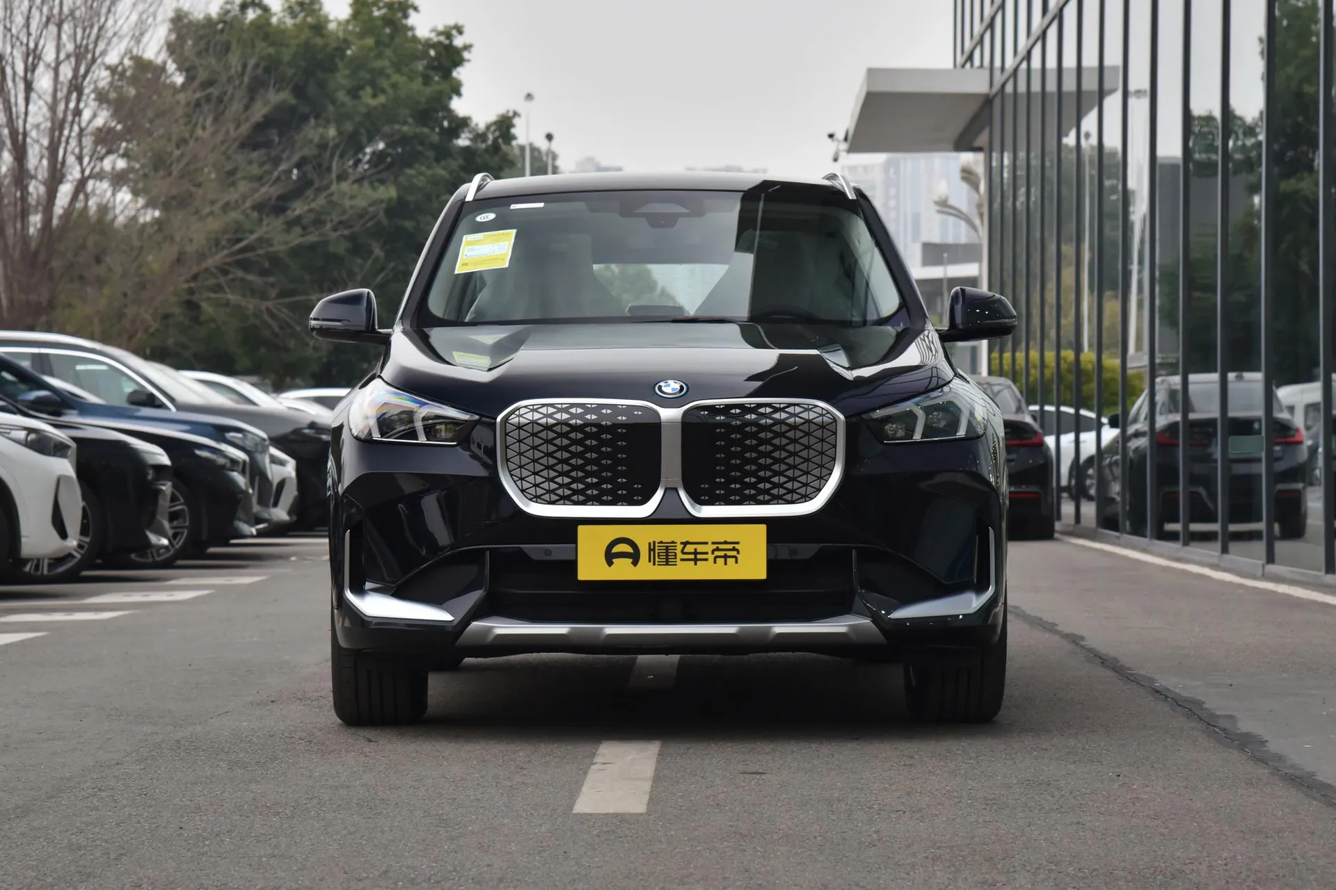  iX1 eDrive 25 L X Design Package