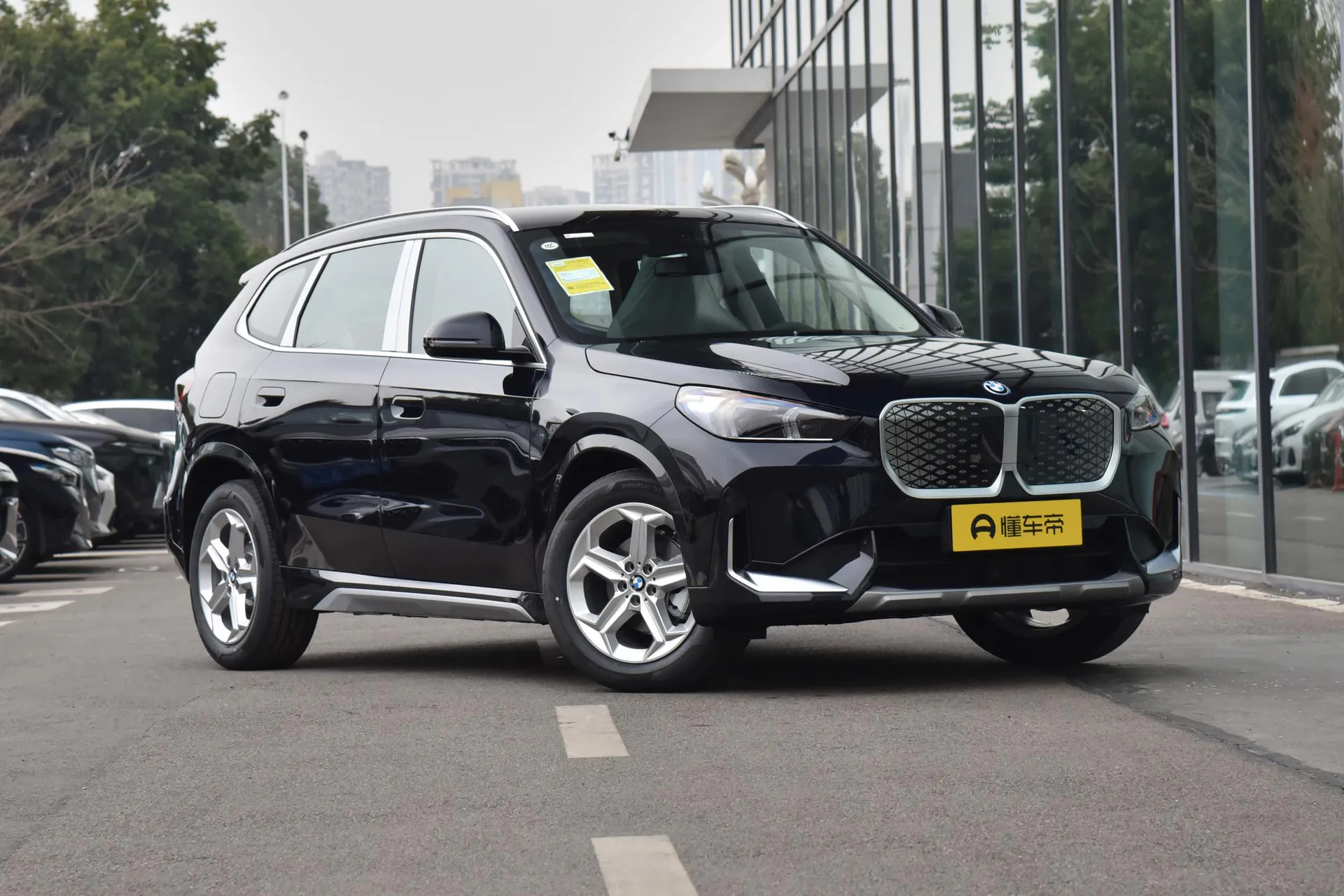  iX1 eDrive 25 L X Design Package
