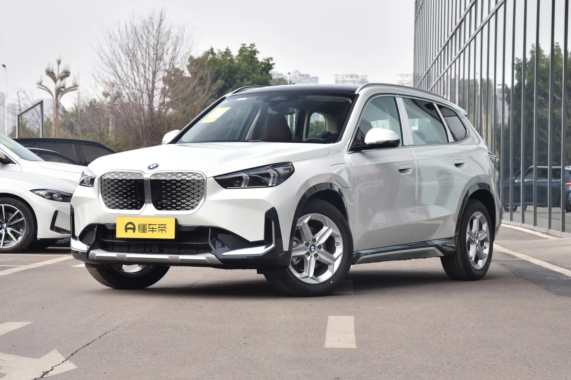  iX1 eDrive 25 L X Design Package