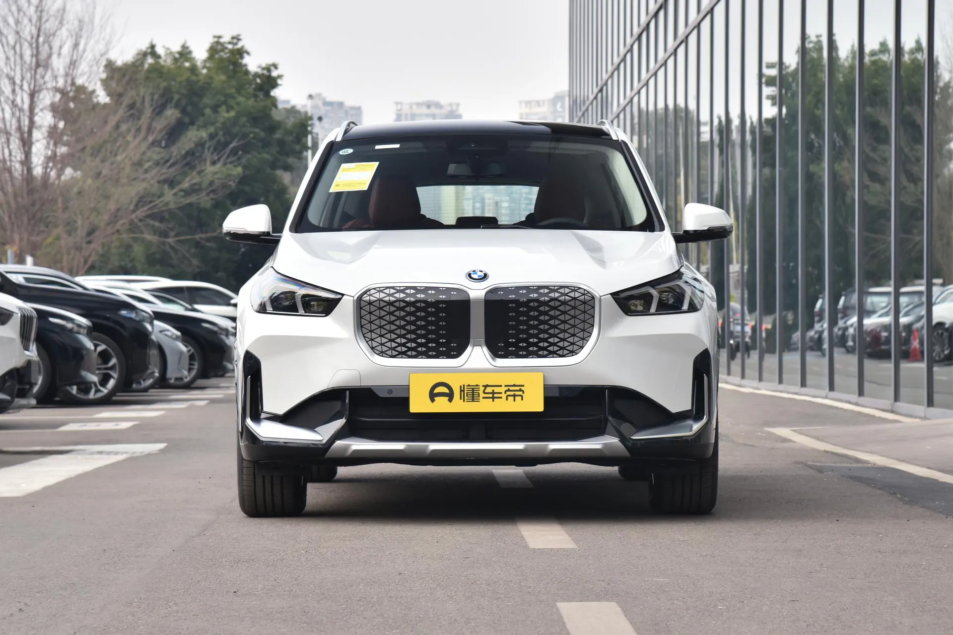  iX1 eDrive 25 L X Design Package