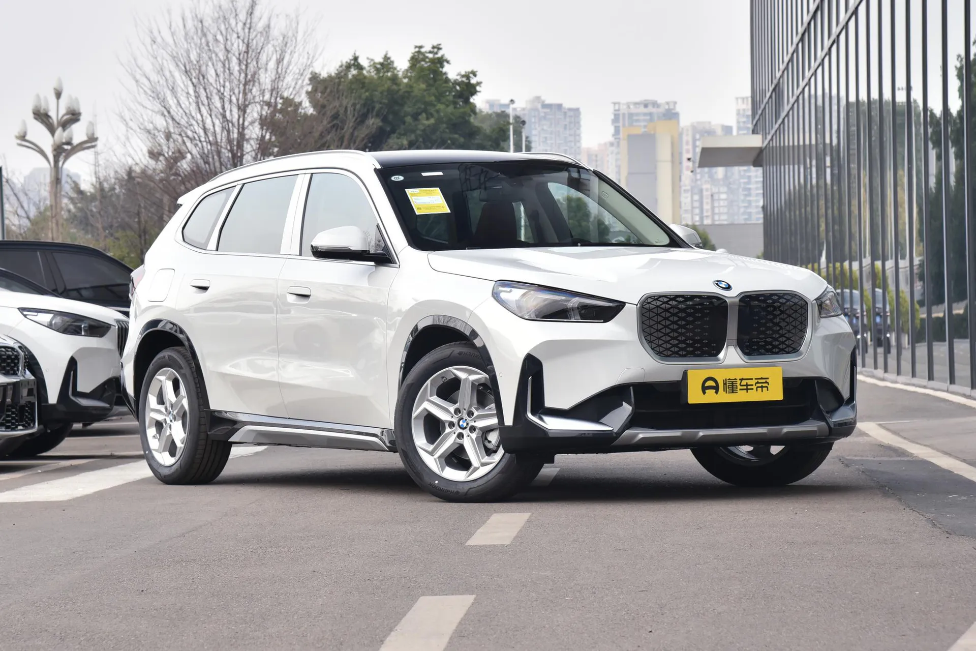  iX1 eDrive 25 L X Design Package